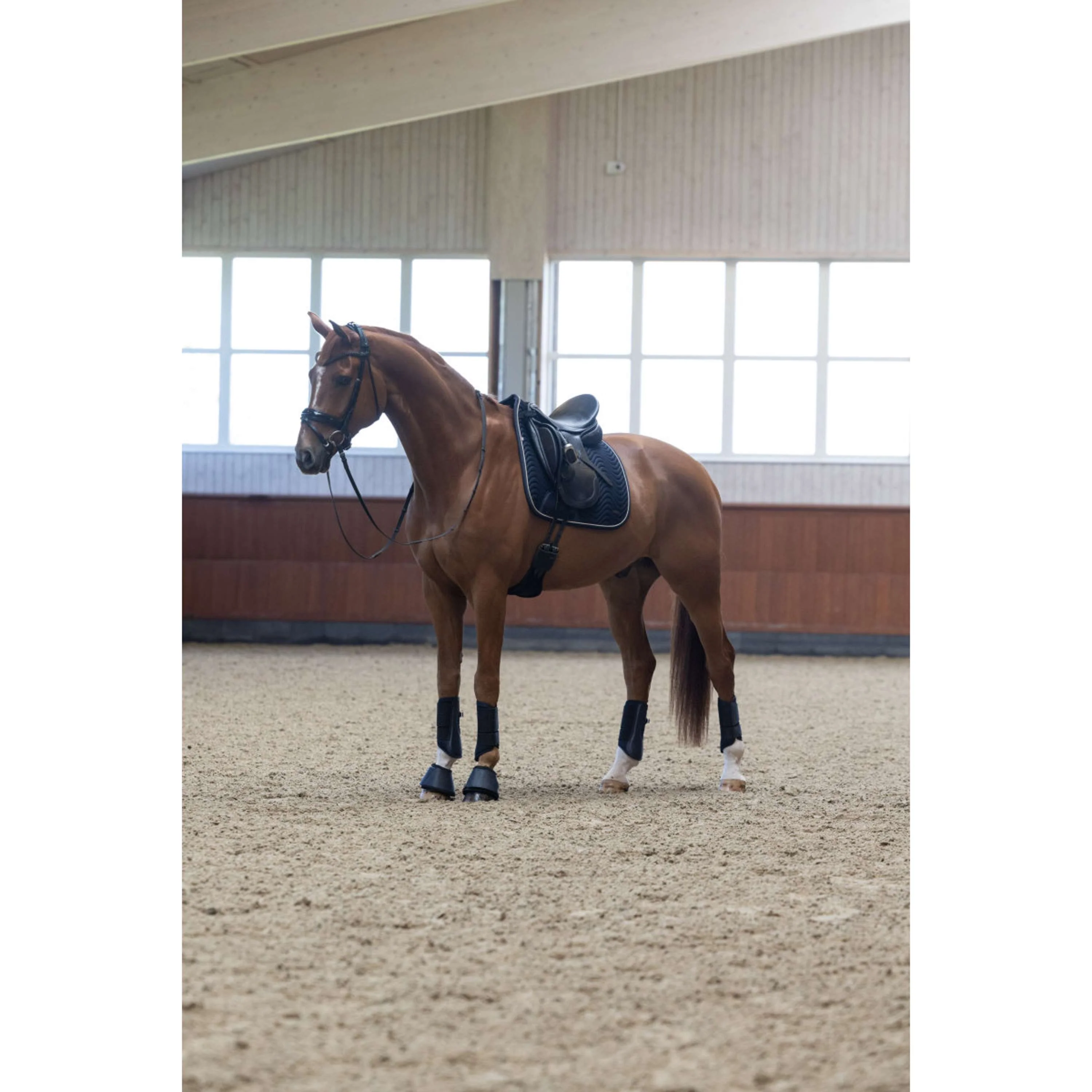 Kingsland Stivali da dressage KLLucca Navy - Image 3