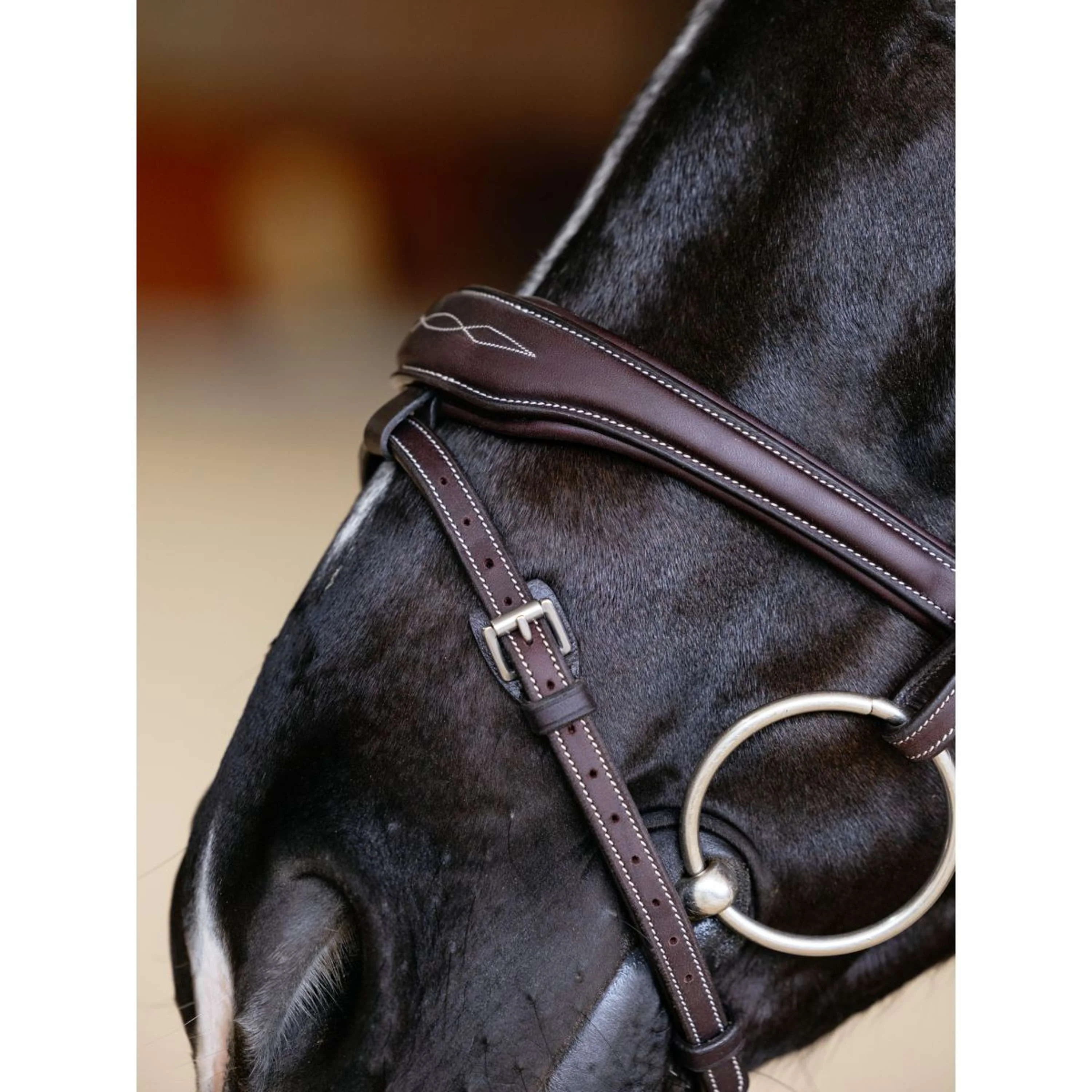 LeMieux Briglia Kudos Contour Flash Marrone - Image 5