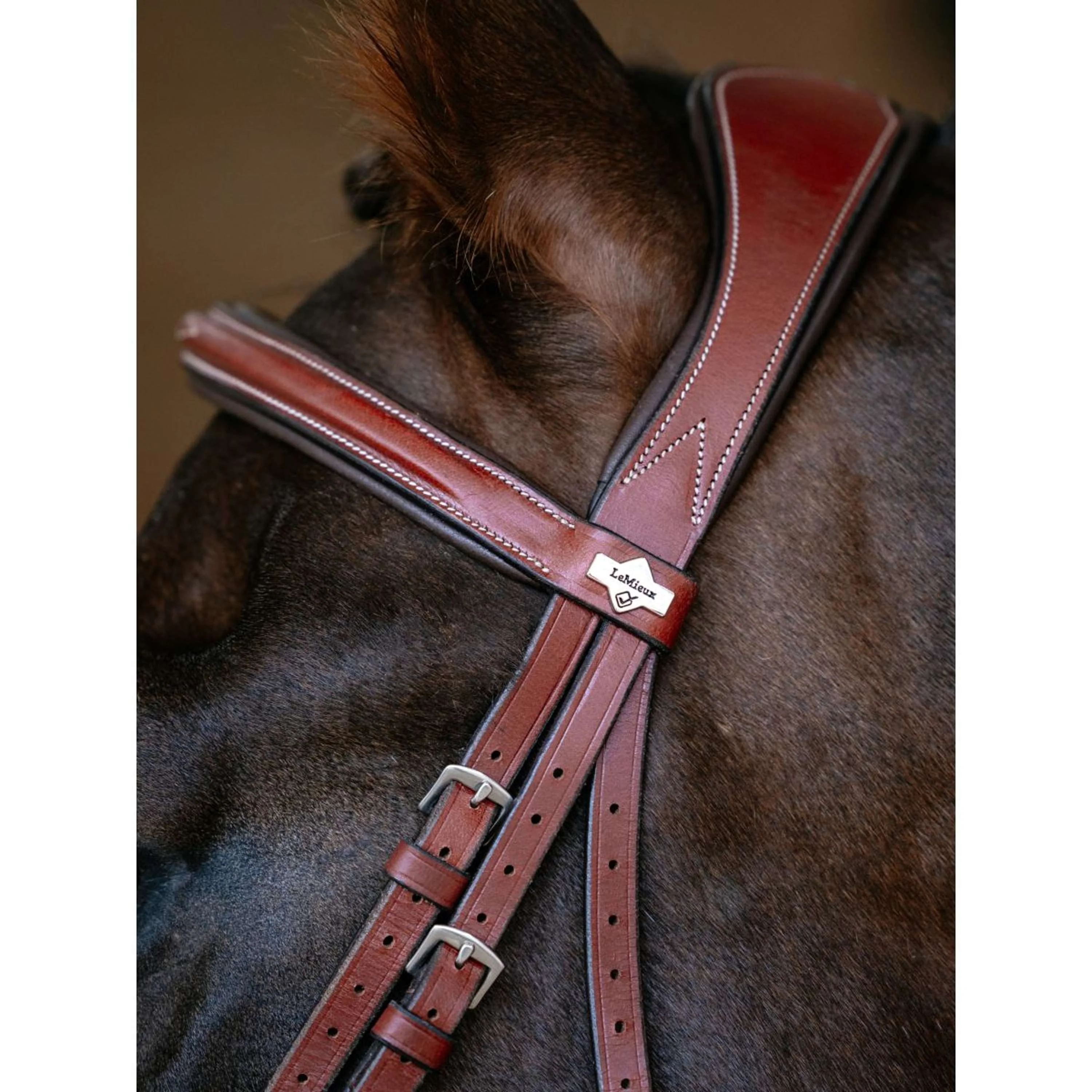 LeMieux Briglia Kudos Grackle Castagno - Image 3