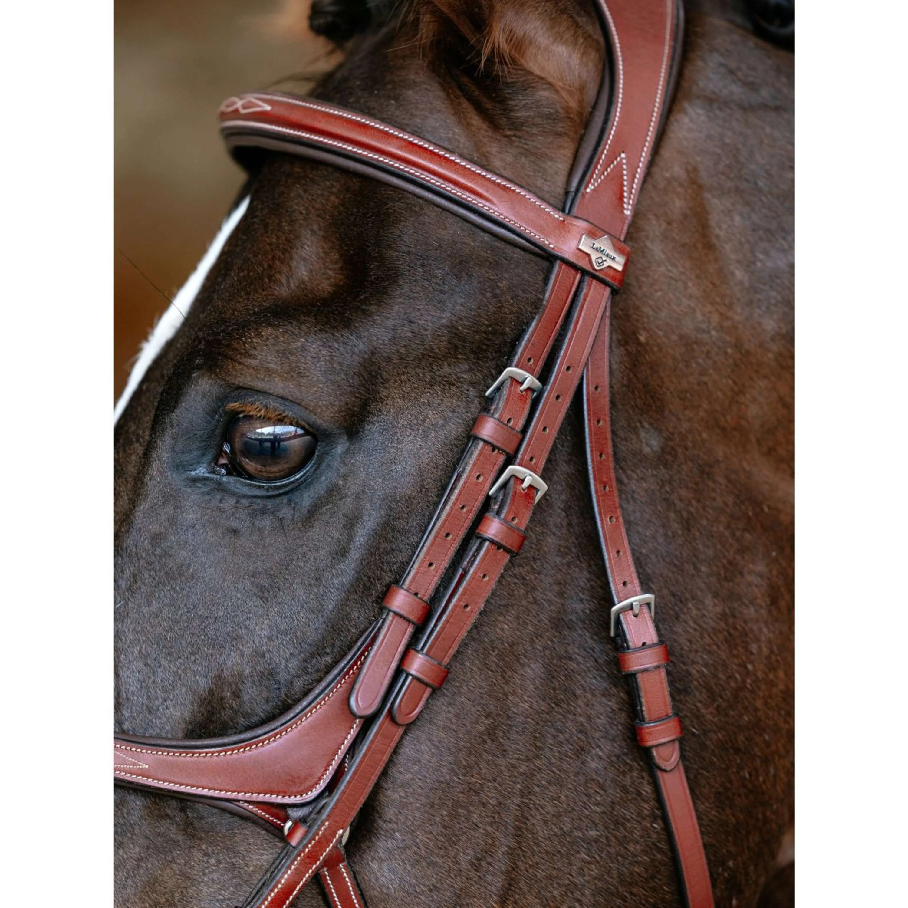 LeMieux Briglia Kudos Grackle Castagno - Image 5