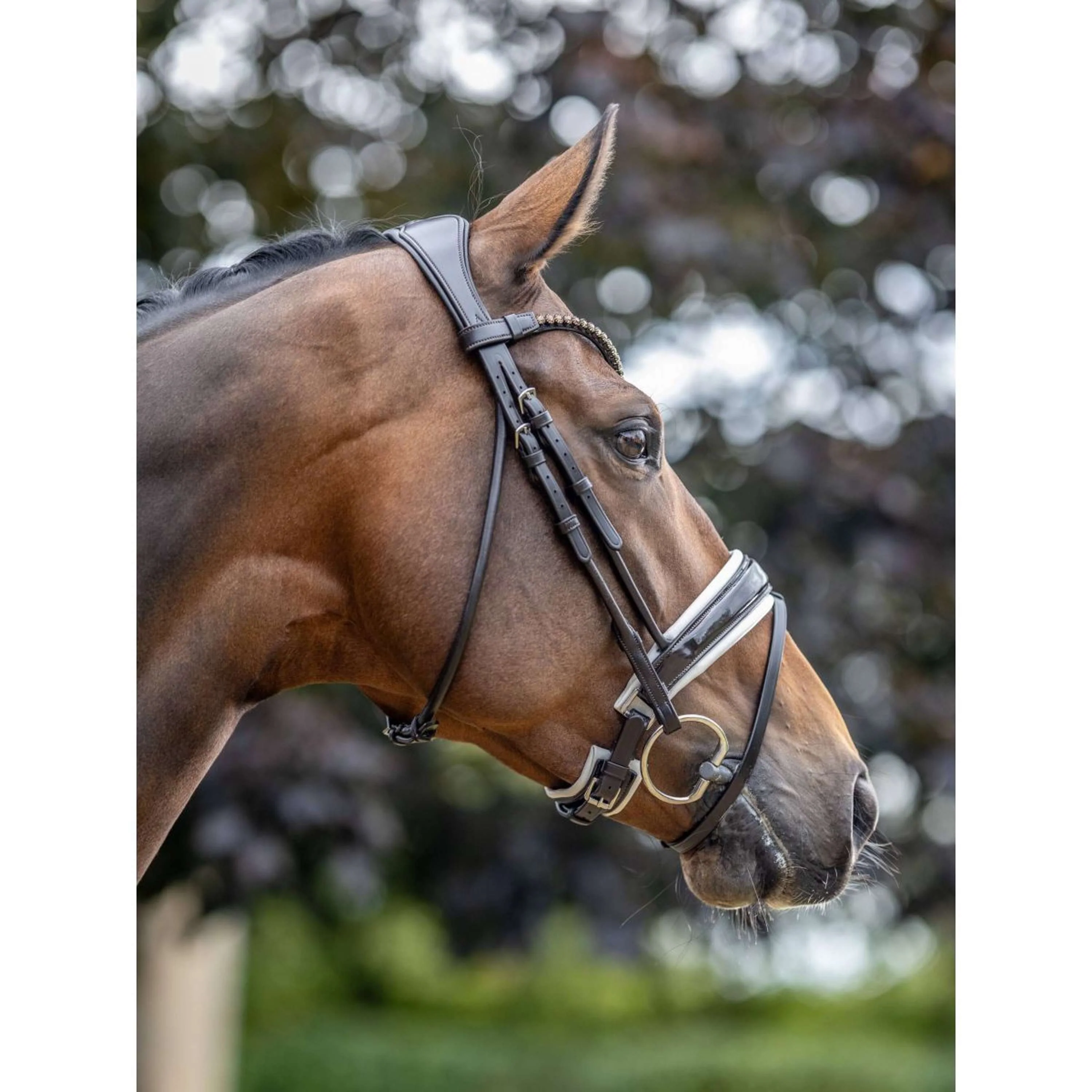 LeMieux Briglia Kudos Patent Dressage Marrone/Bianco - Image 4