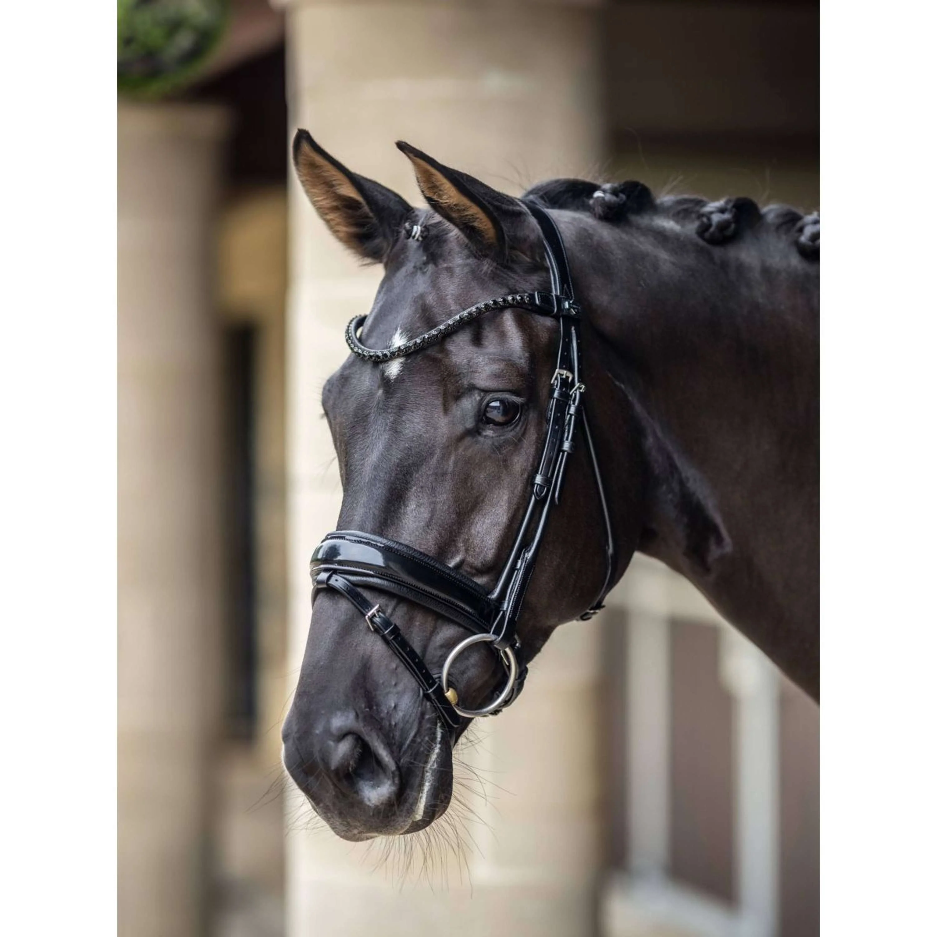 LeMieux Briglia Kudos Patent Dressage Nero - Image 3