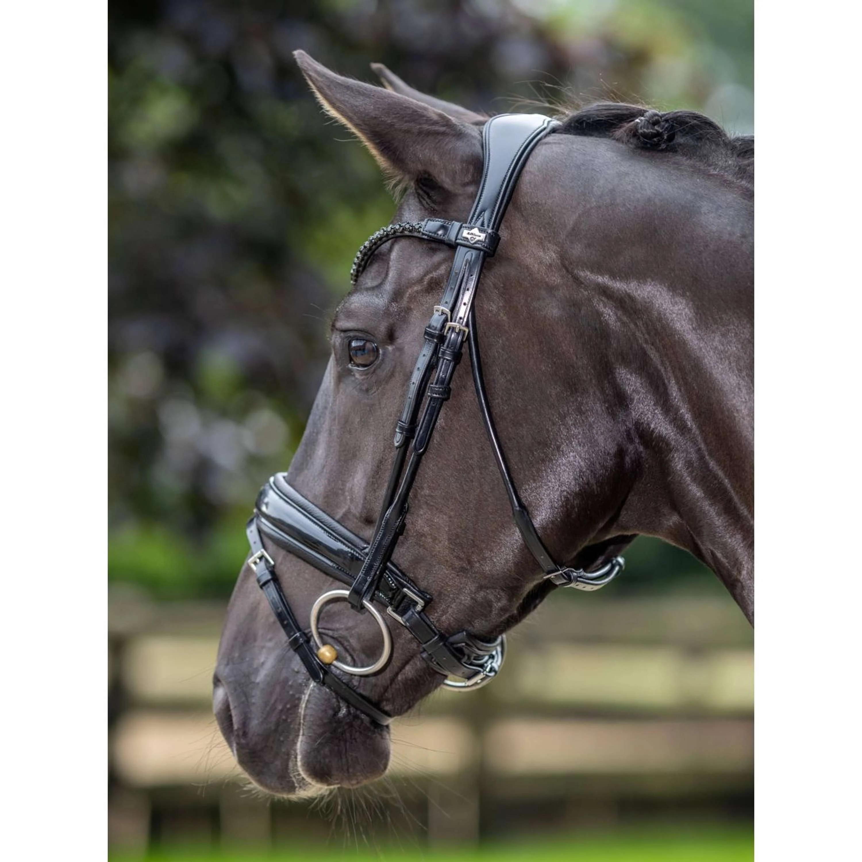 LeMieux Briglia Kudos Patent Dressage Nero - Image 4