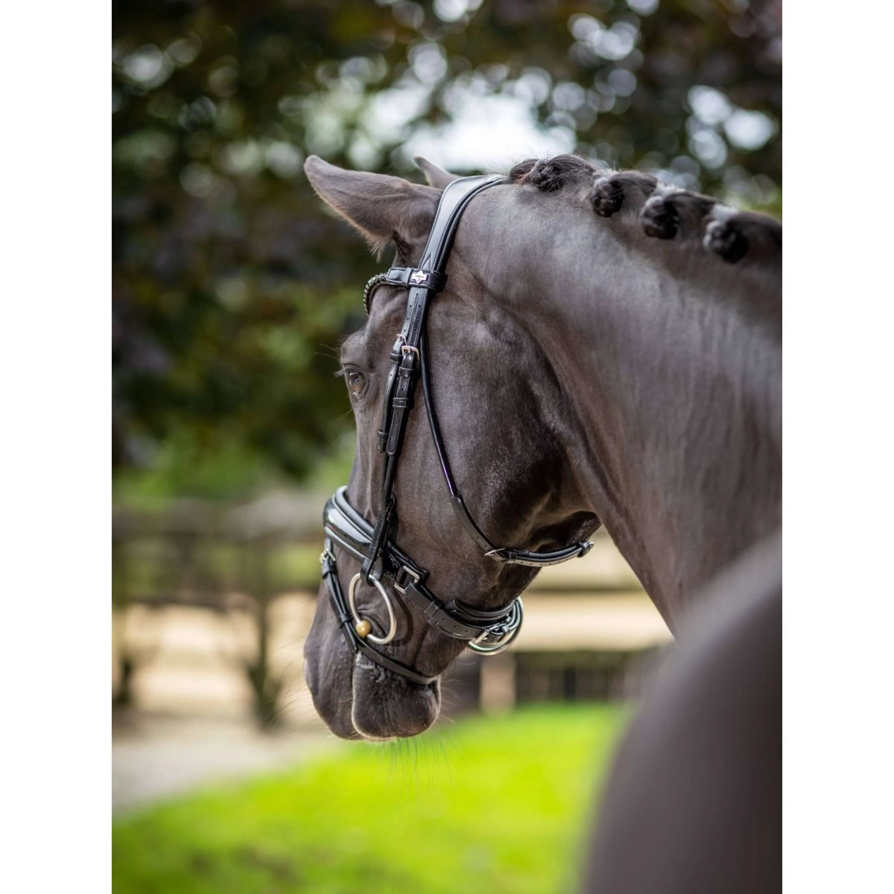 LeMieux Briglia Kudos Patent Dressage Nero - Image 5
