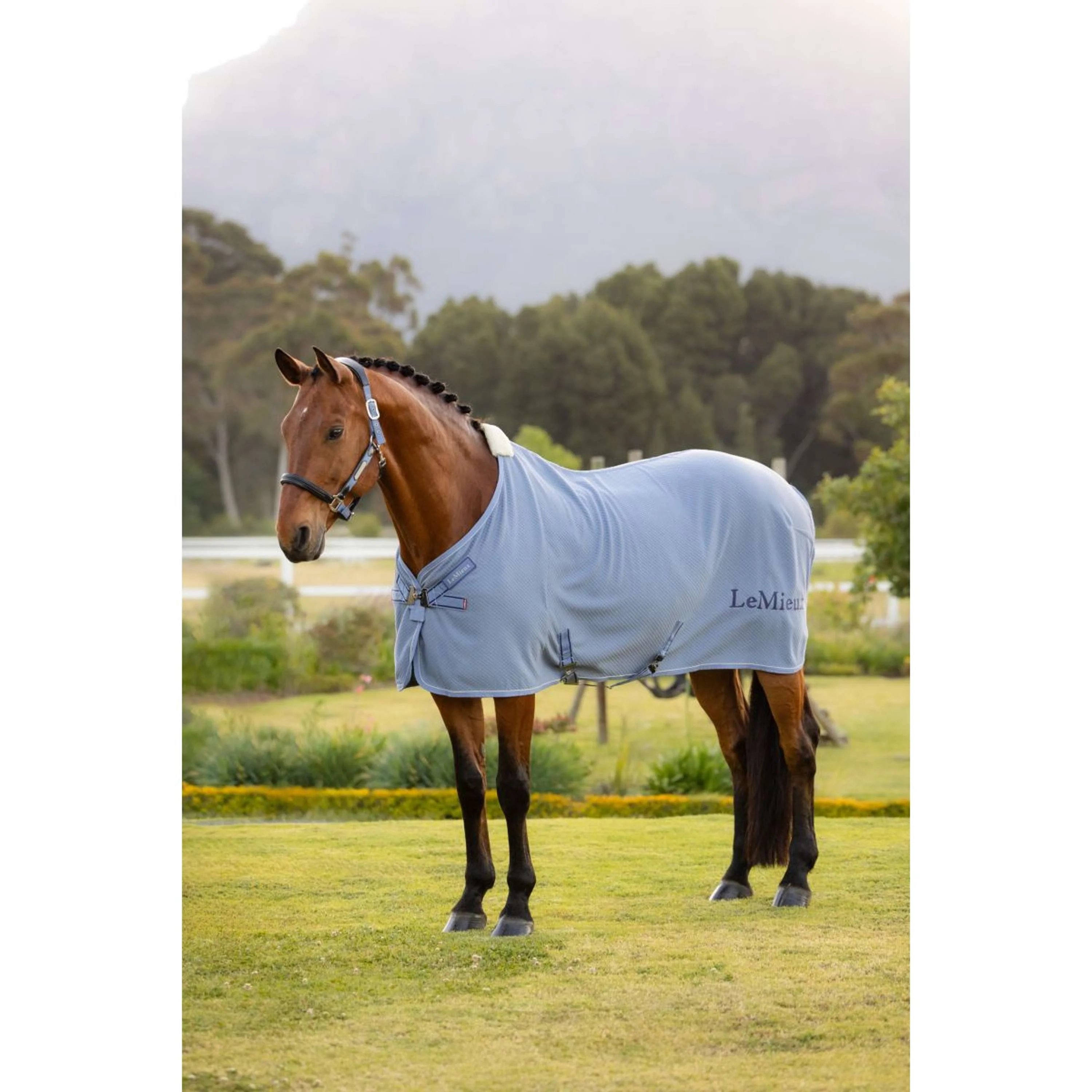 LeMieux Cooler Kudos Bamboo Powder Blue - Image 6