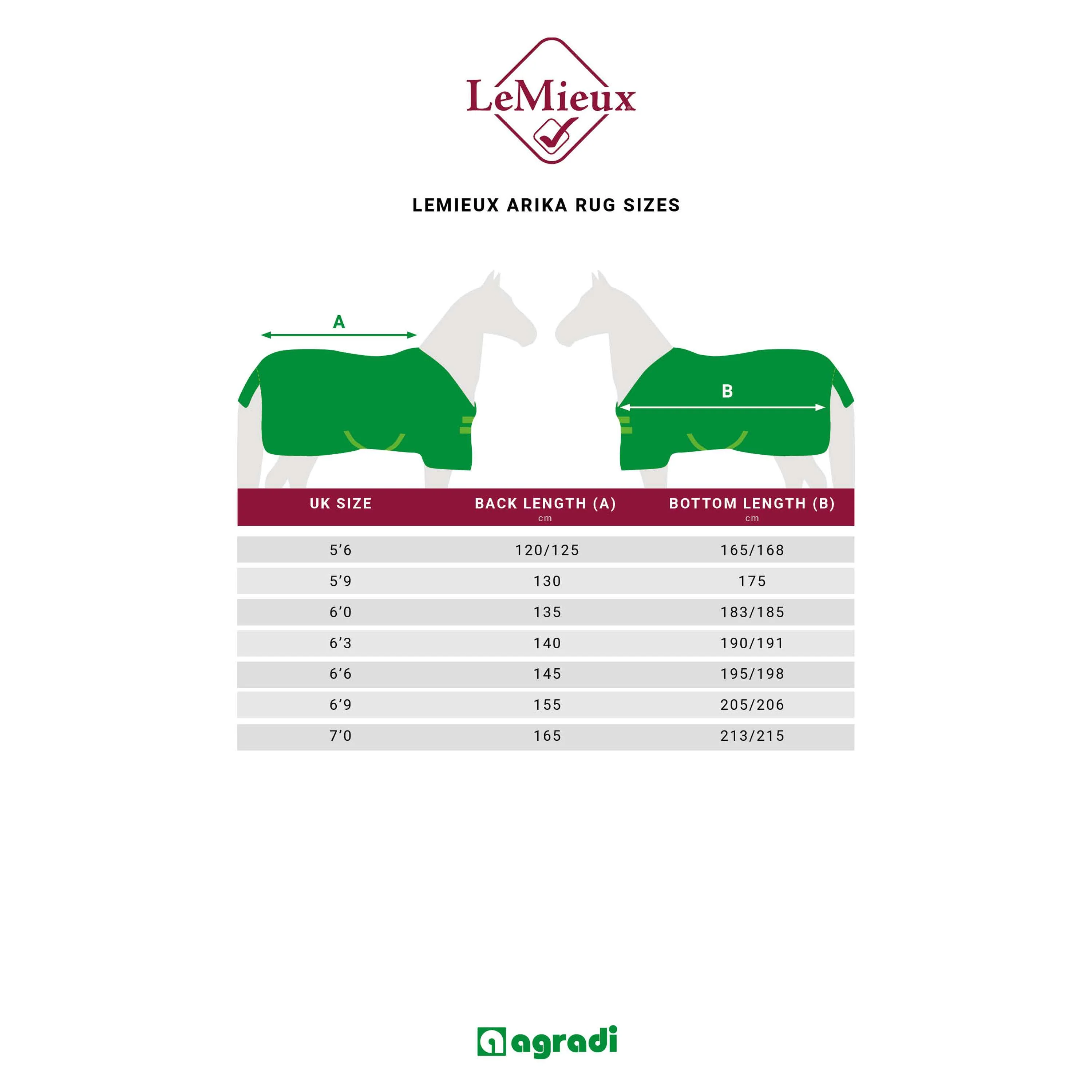 LeMieux Coperta da esterno Arika Stor-Tek Blu - Image 11