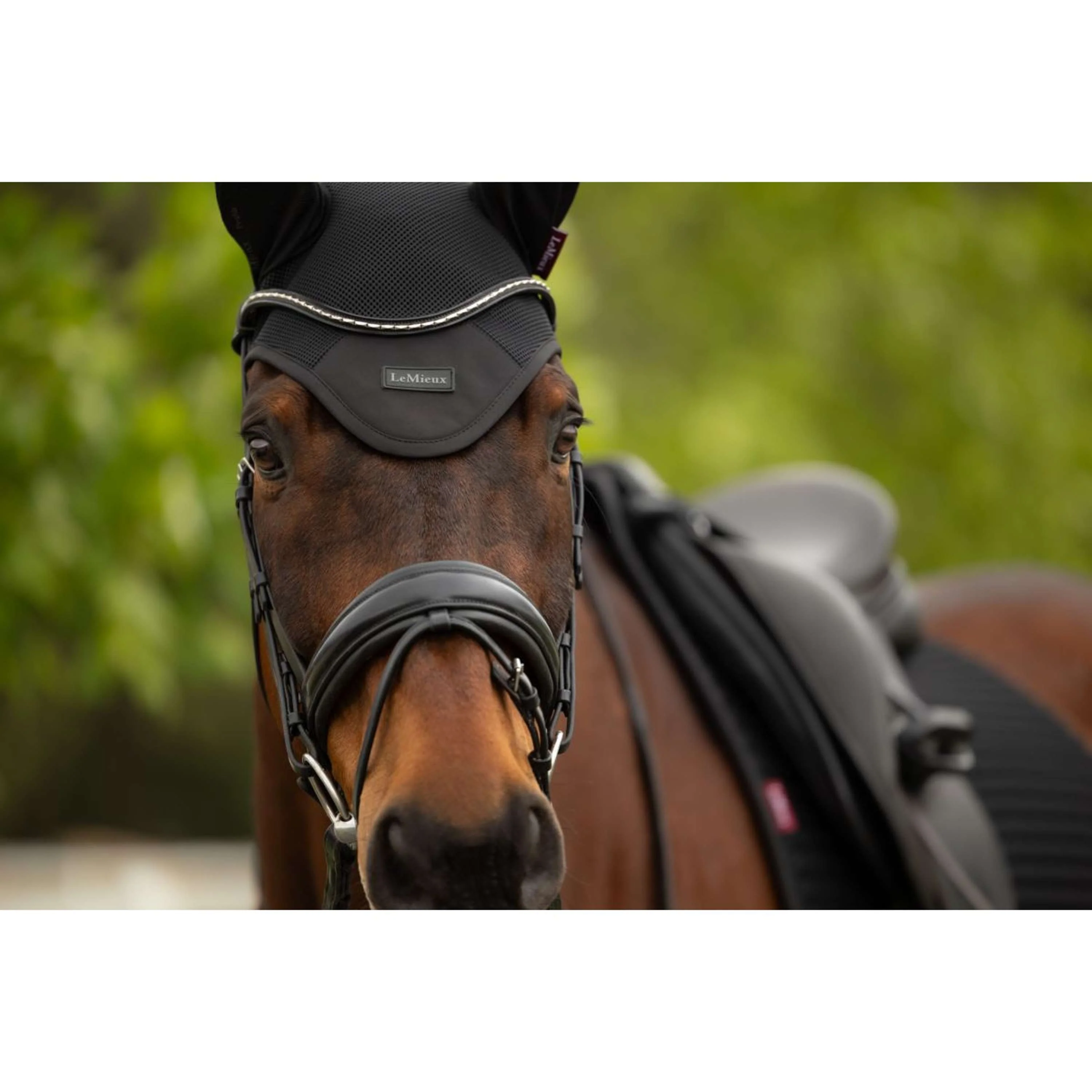 LeMieux Cuffietta Air-Tek Mesh Nero - Image 5