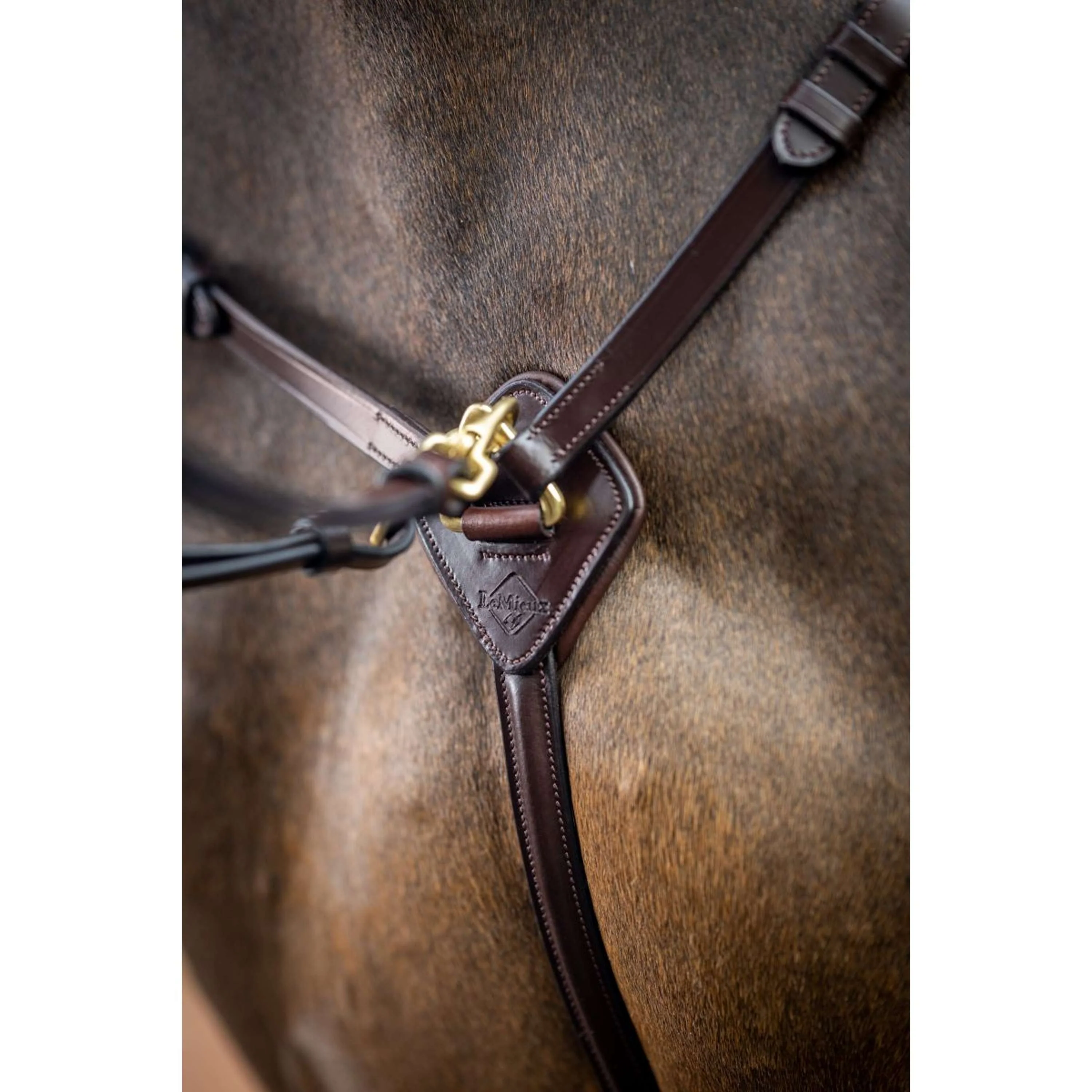 LeMieux Martingala Breastplate Detachable L'Avana - Image 2
