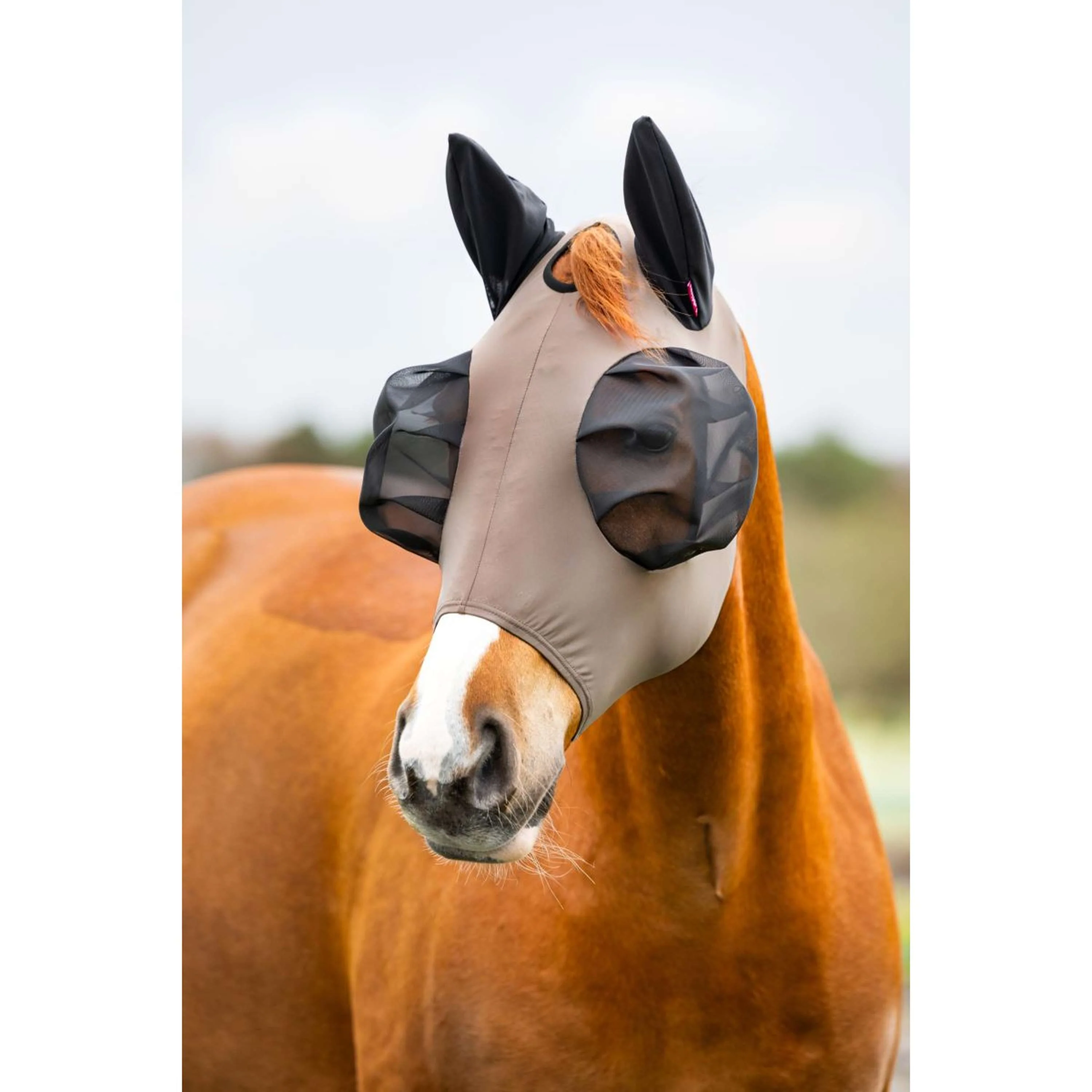 LeMieux Maschera per Mosche Bug Relief Noce - Image 3