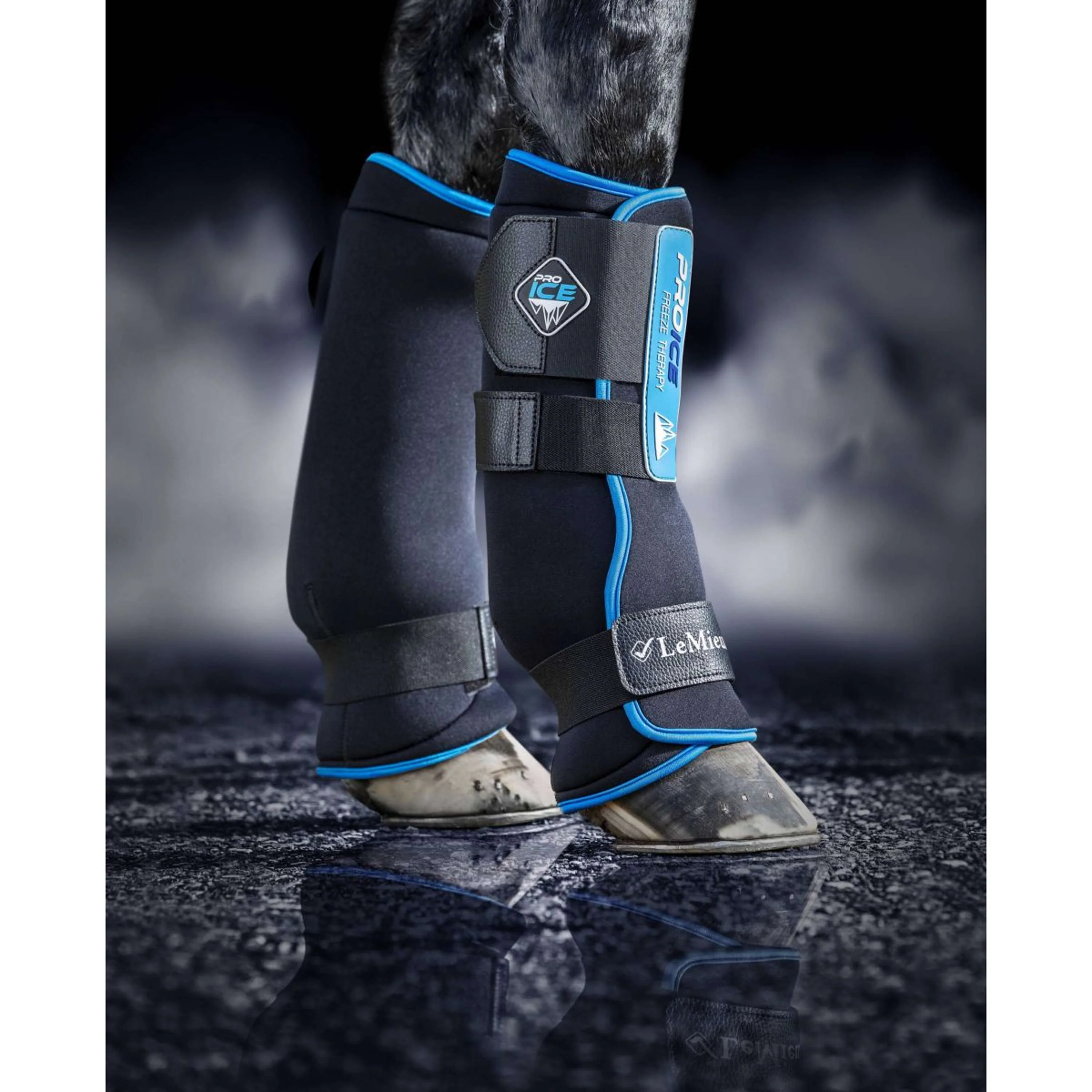 LeMieux Parastinchi Freeze Therapy Nero - Image 2