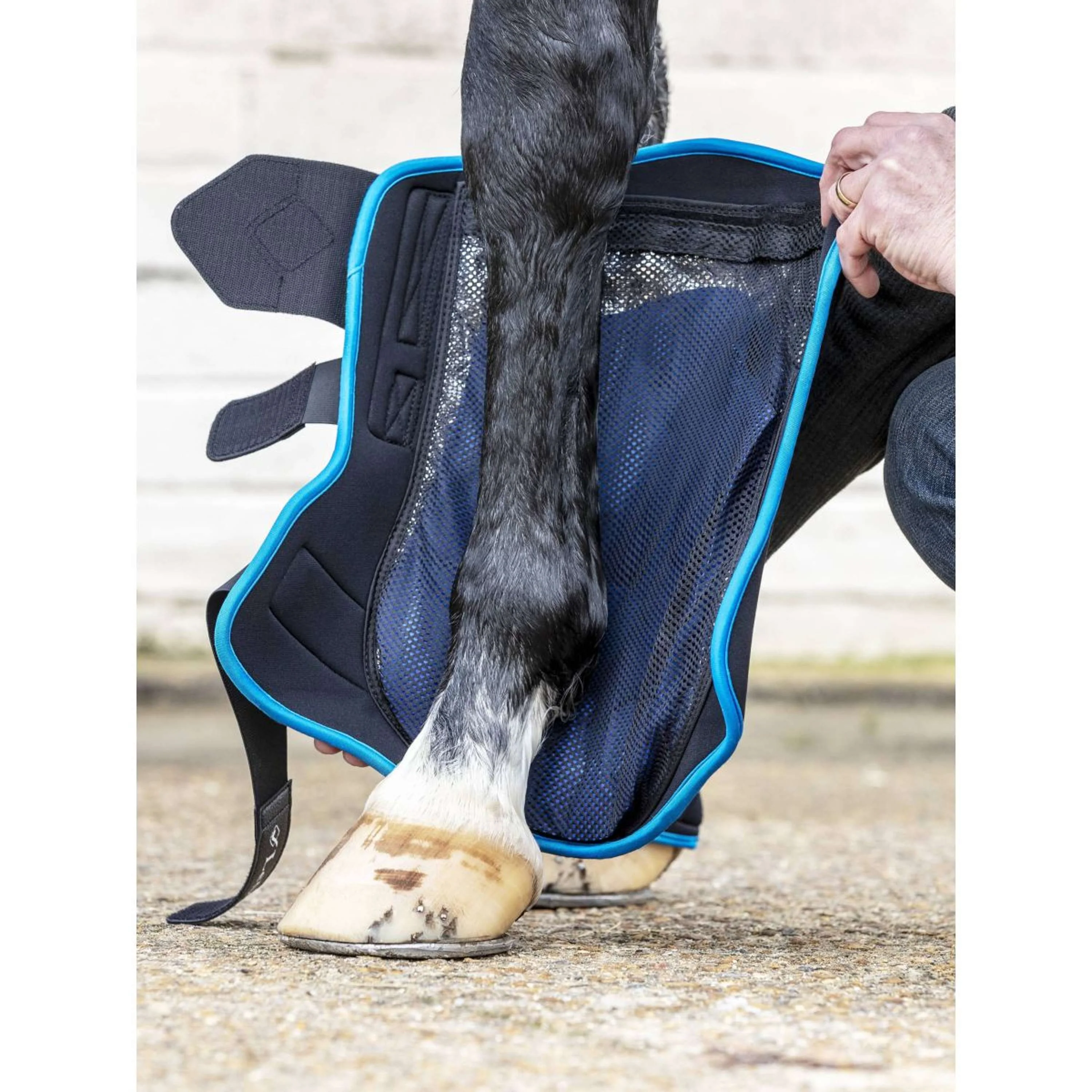 LeMieux Parastinchi Freeze Therapy Nero - Image 3