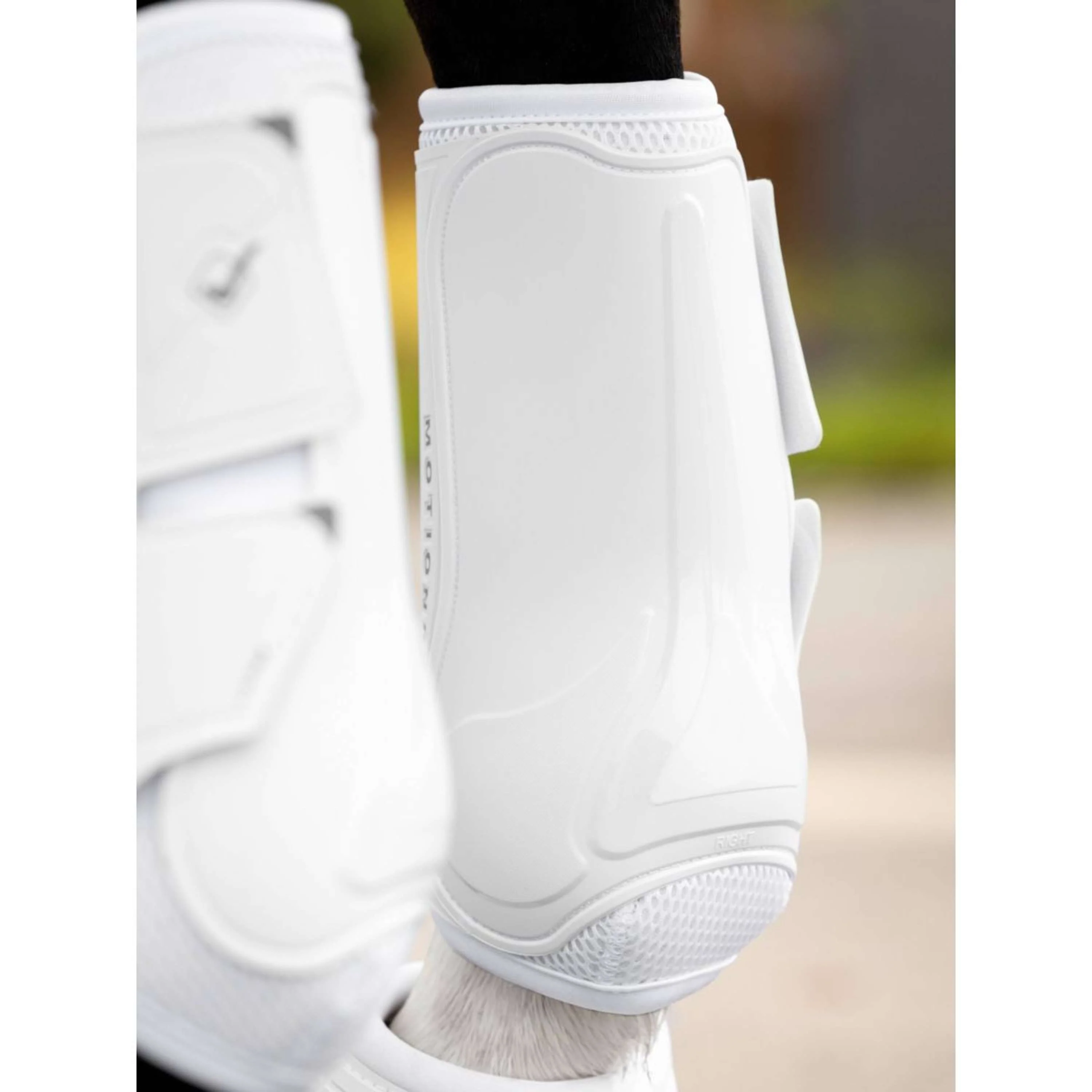LeMieux Parastinchi Motionflex Bianco - Image 5
