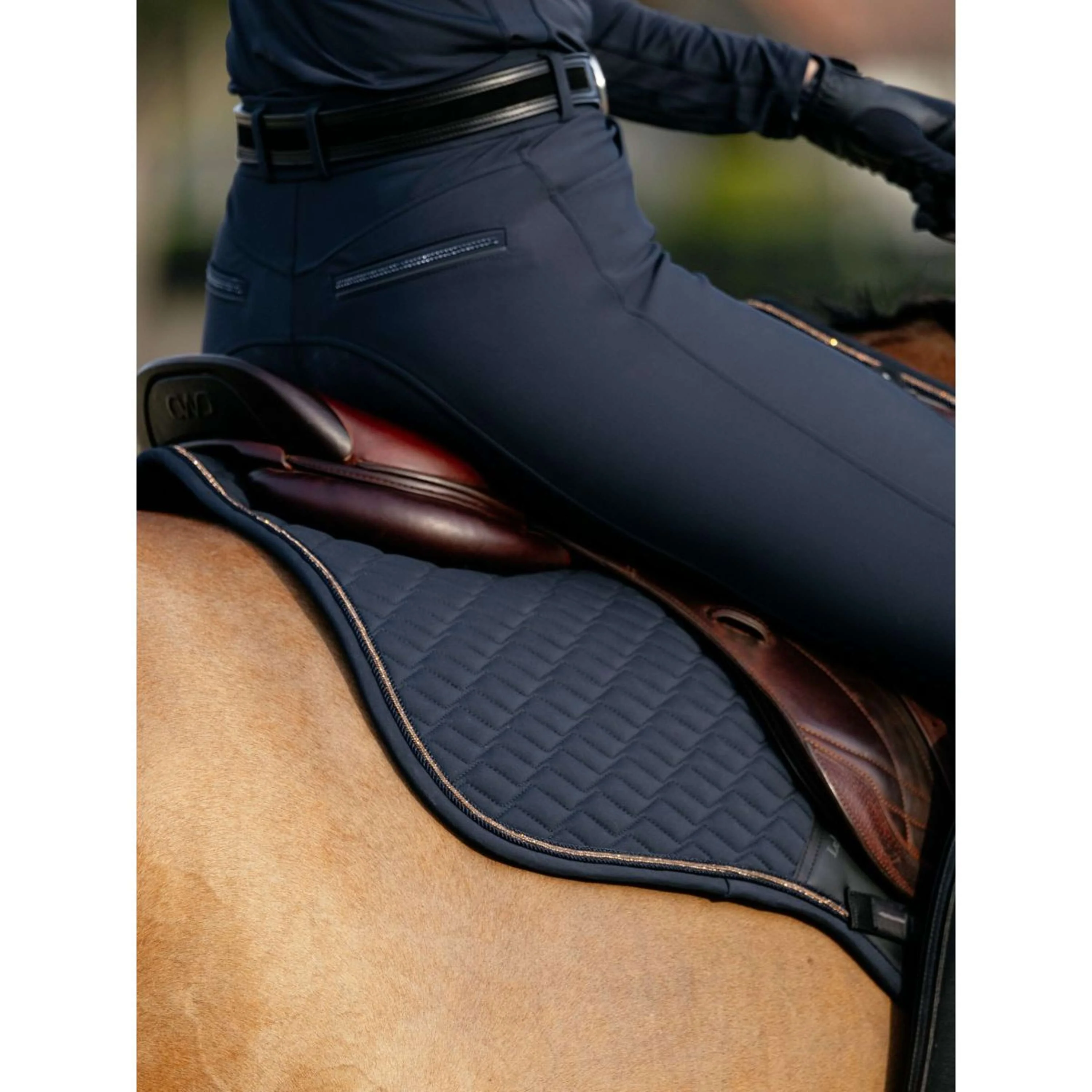 LeMieux Sottosella Brilliance Close Contact Square saltando Navy - Image 4