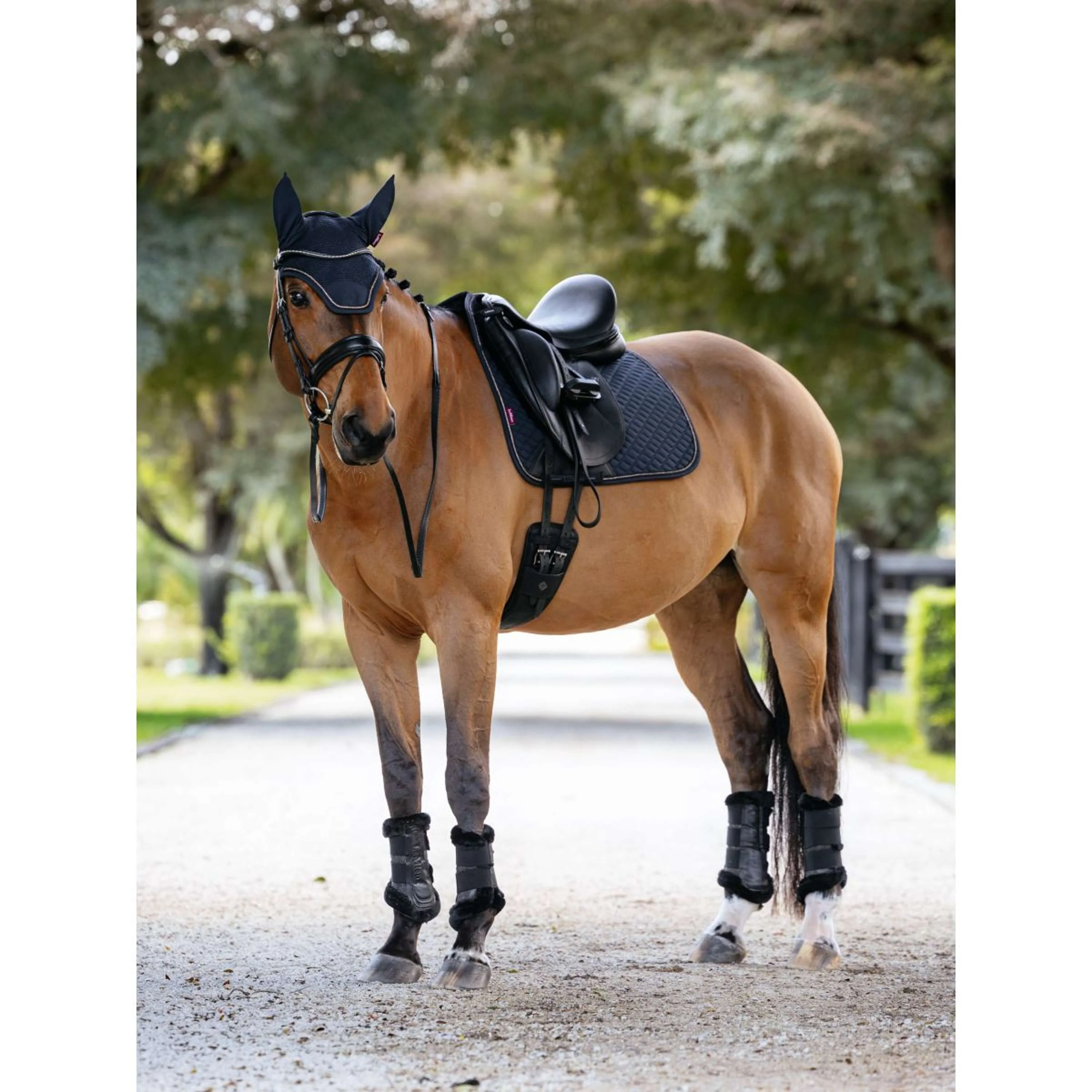 LeMieux Sottosella Brilliance Dressage Navy - Image 2