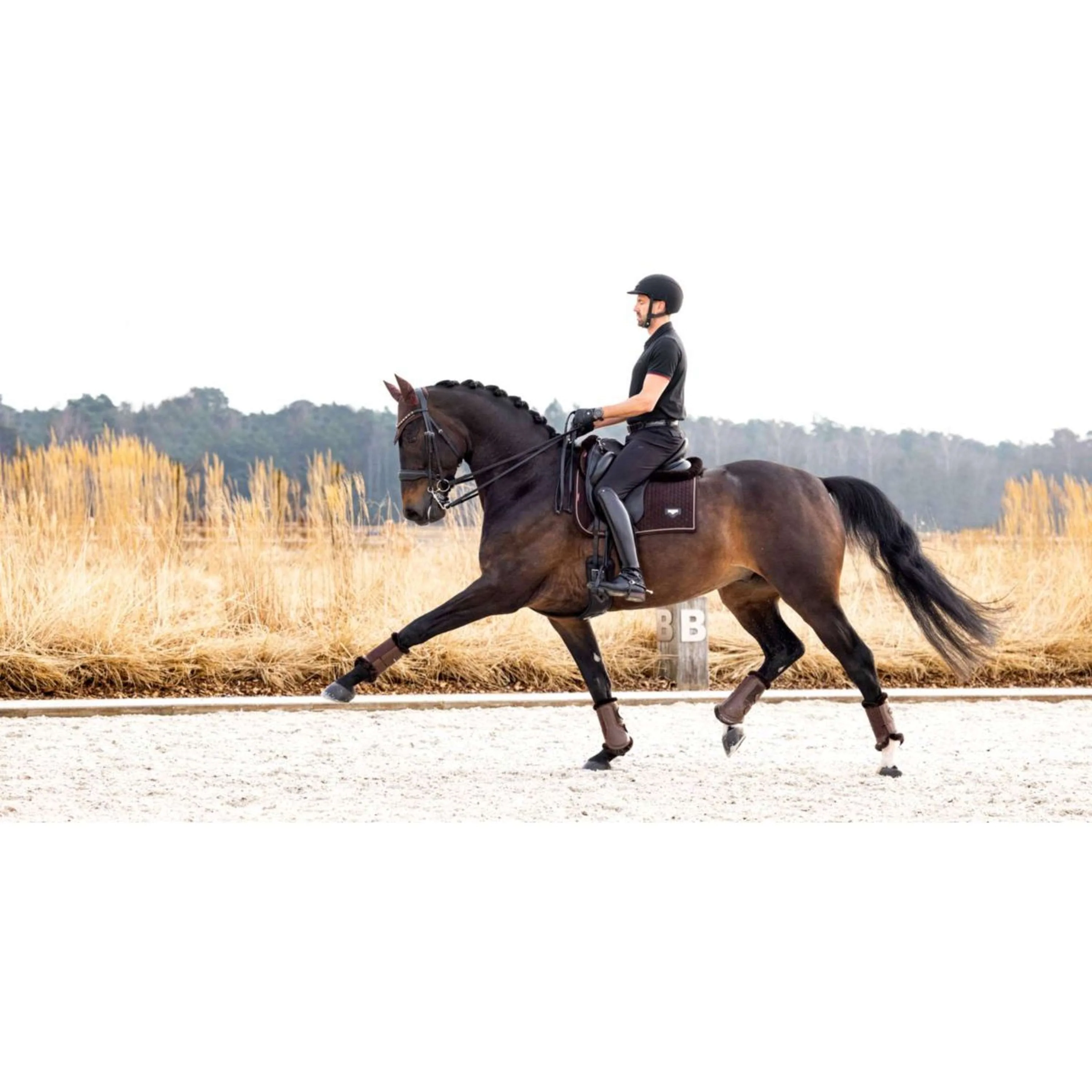 LeMieux Sottosella Dressage Puissance Marrone - Image 3