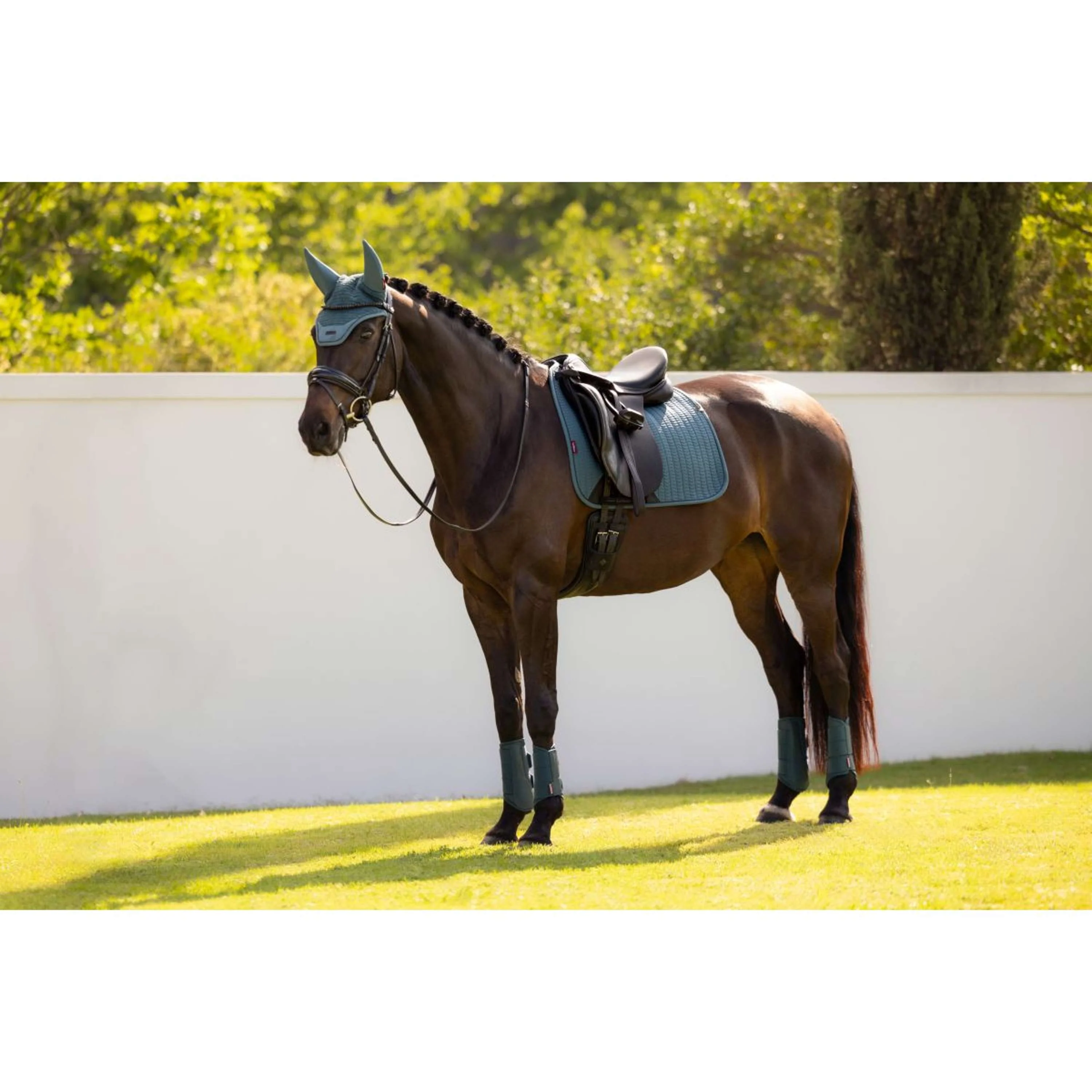 LeMieux Sottosella Essence Square Dressage Jungle - Image 6