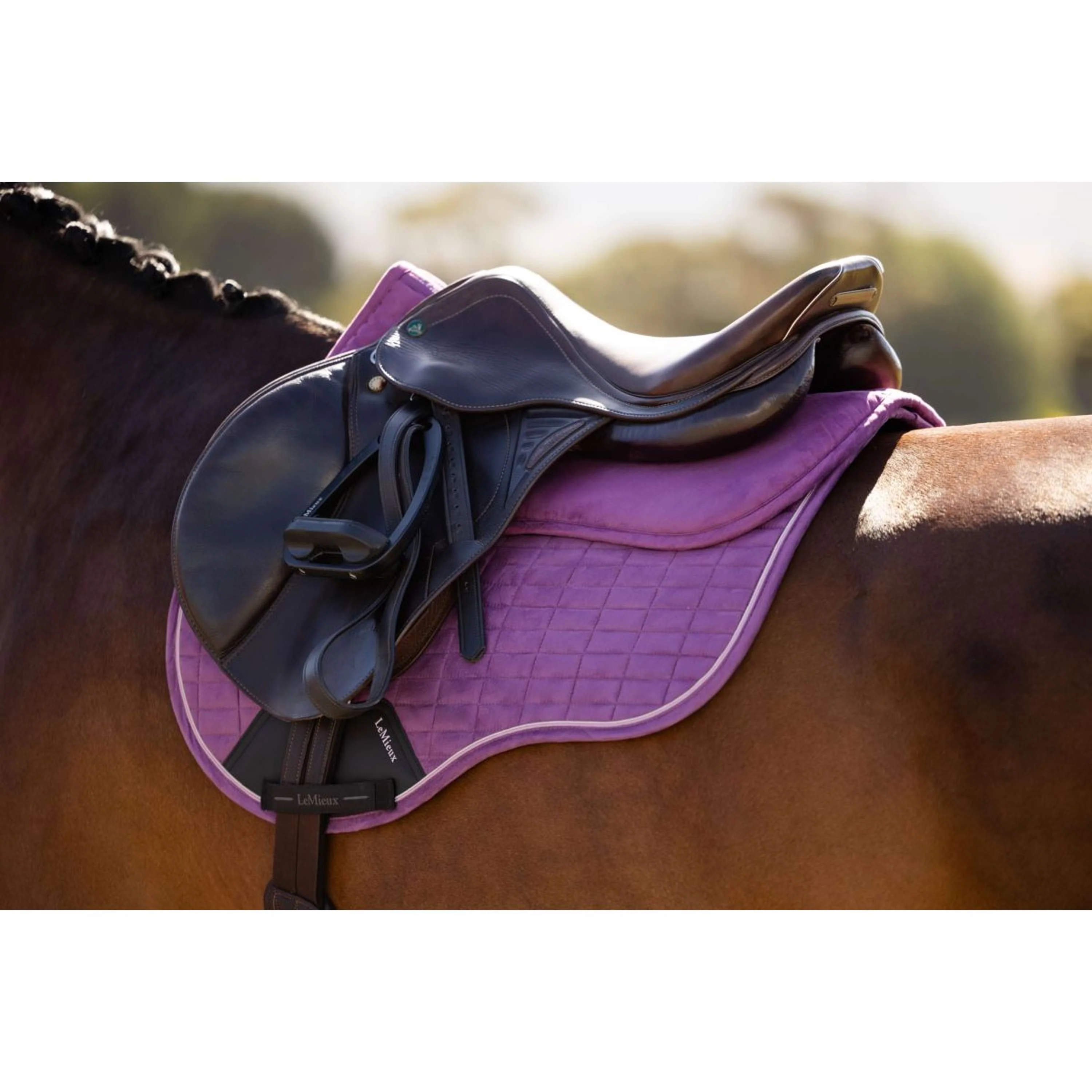 LeMieux Sottosella Suede Mallow - Image 4