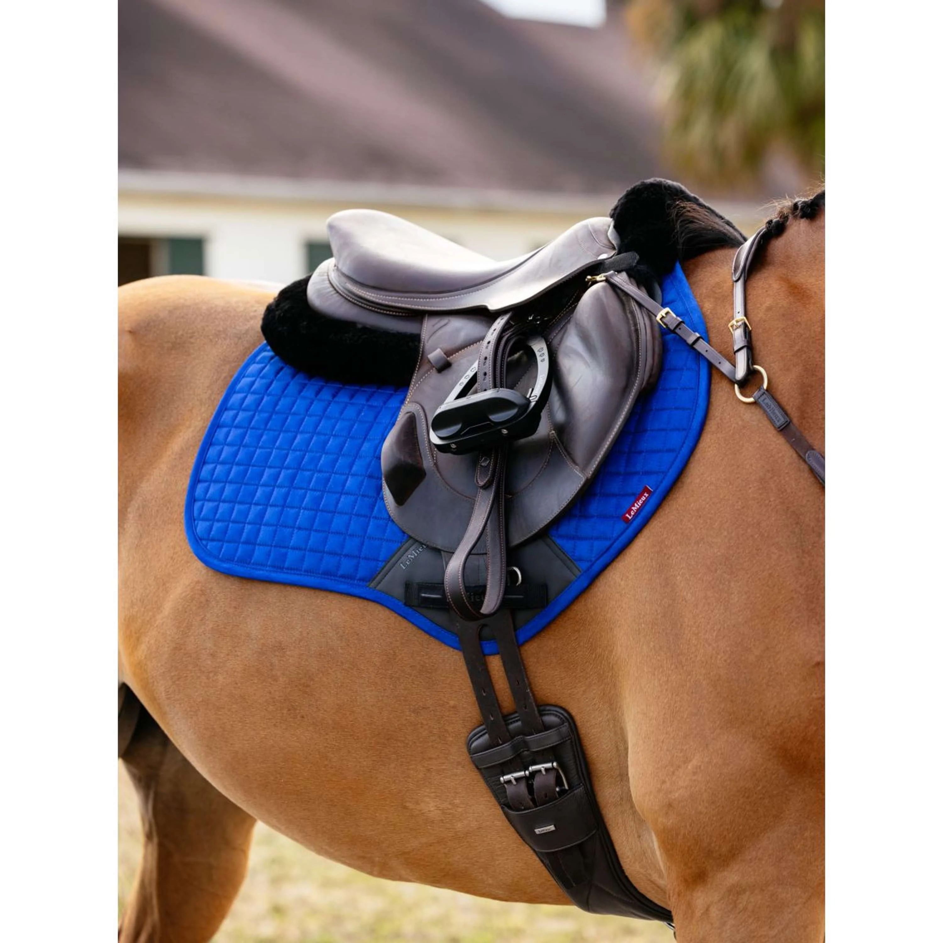 LeMieux Sottosella Suede Square Close Contact Benetton - Image 2