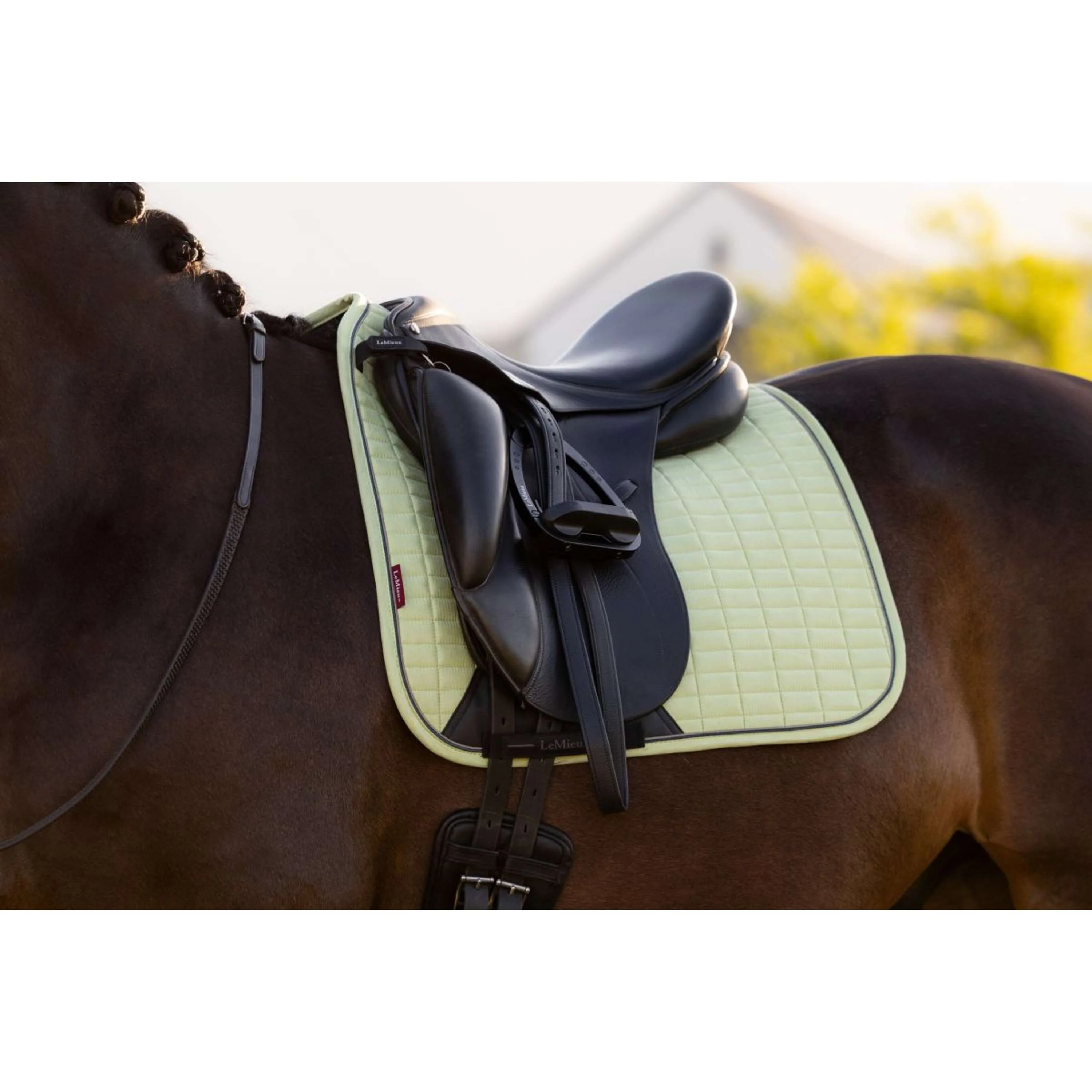 LeMieux Sottosella Suede Square Dressage Macaron - Image 2