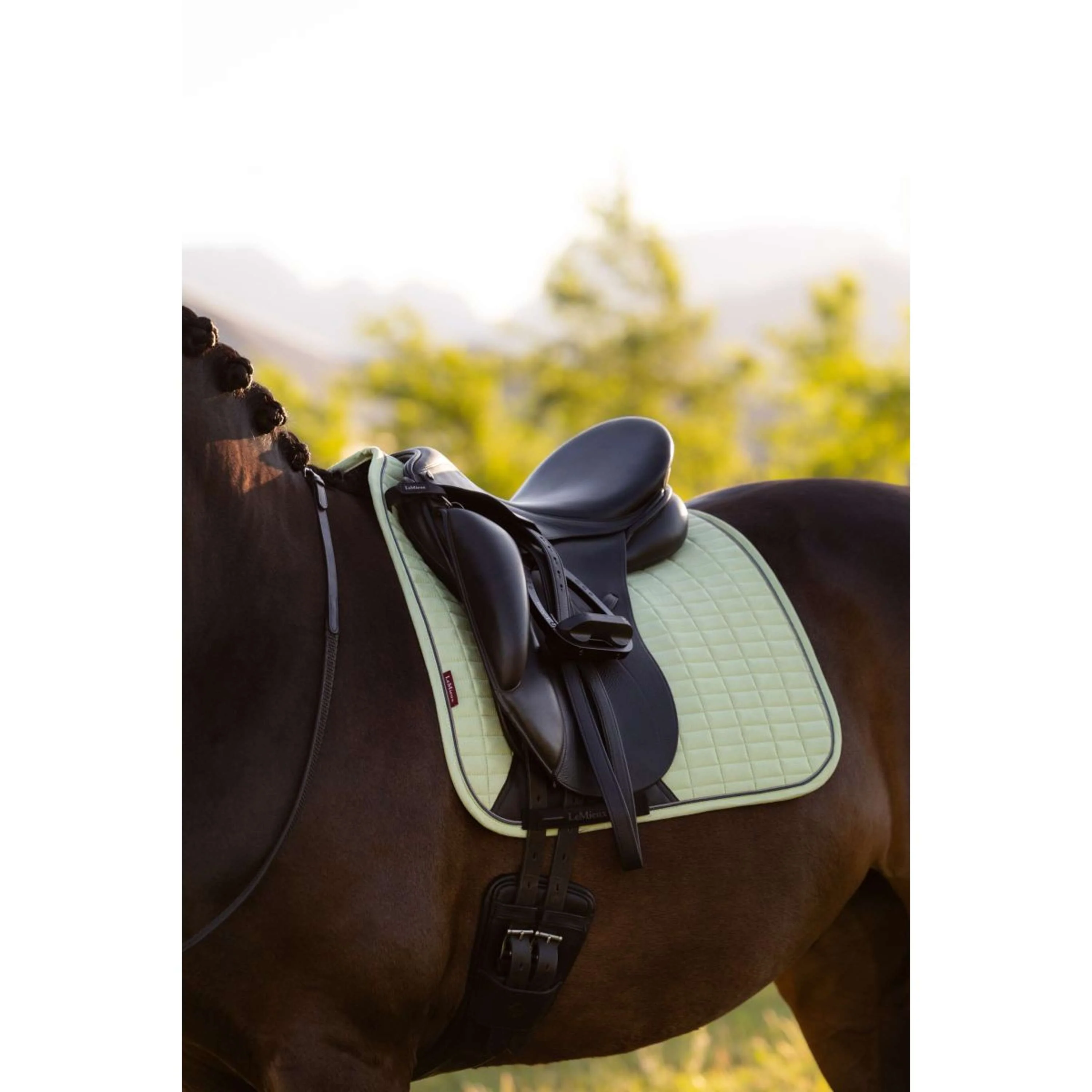 LeMieux Sottosella Suede Square Dressage Macaron - Image 3