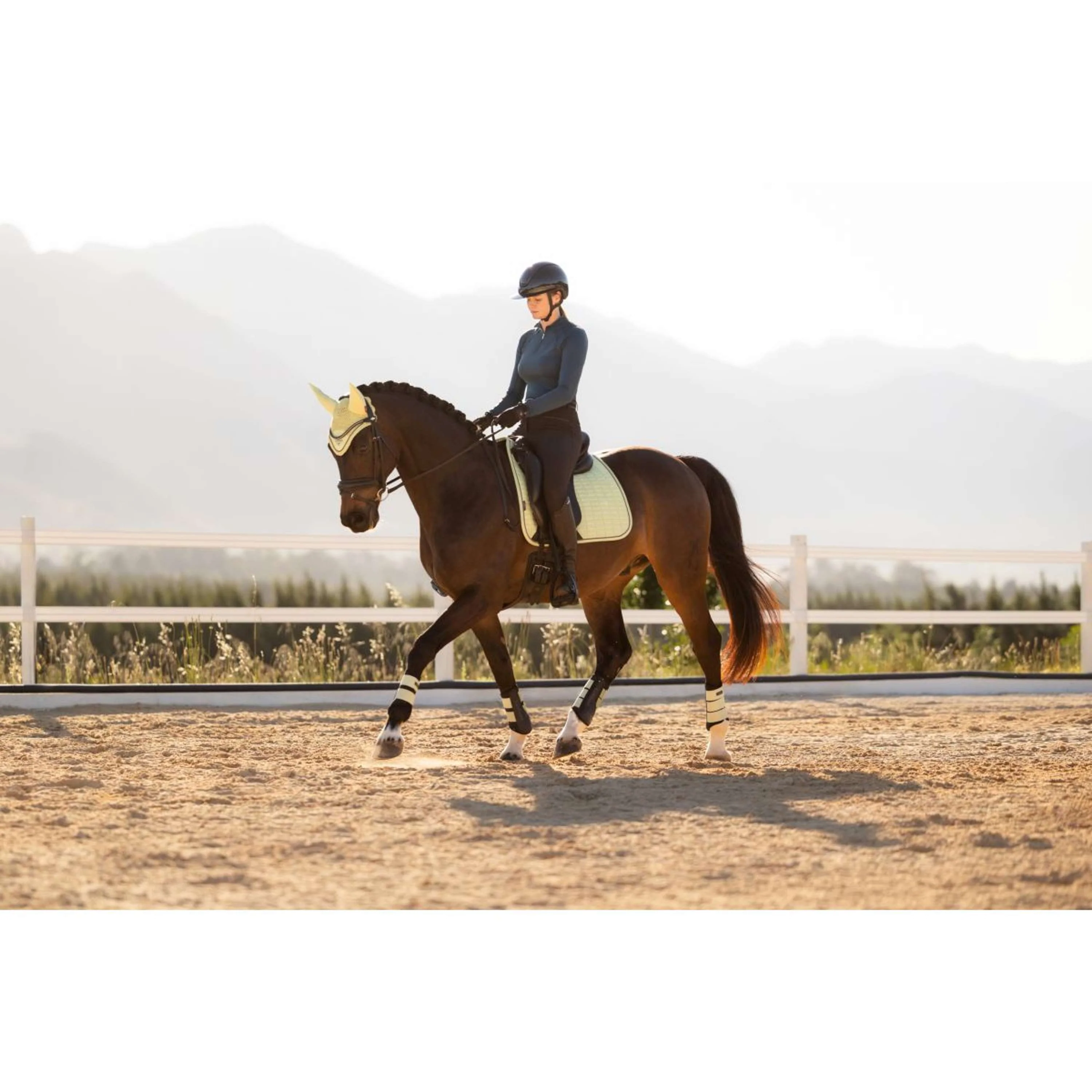 LeMieux Sottosella Suede Square Dressage Macaron - Image 6
