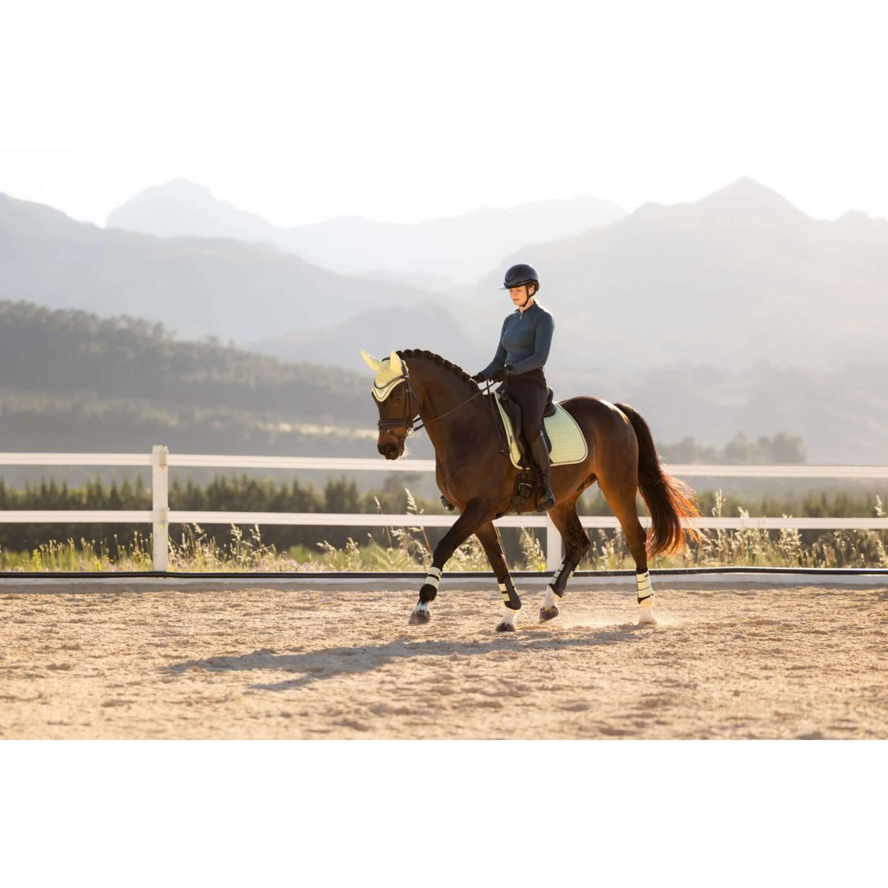 LeMieux Sottosella Suede Square Dressage Macaron - Image 7