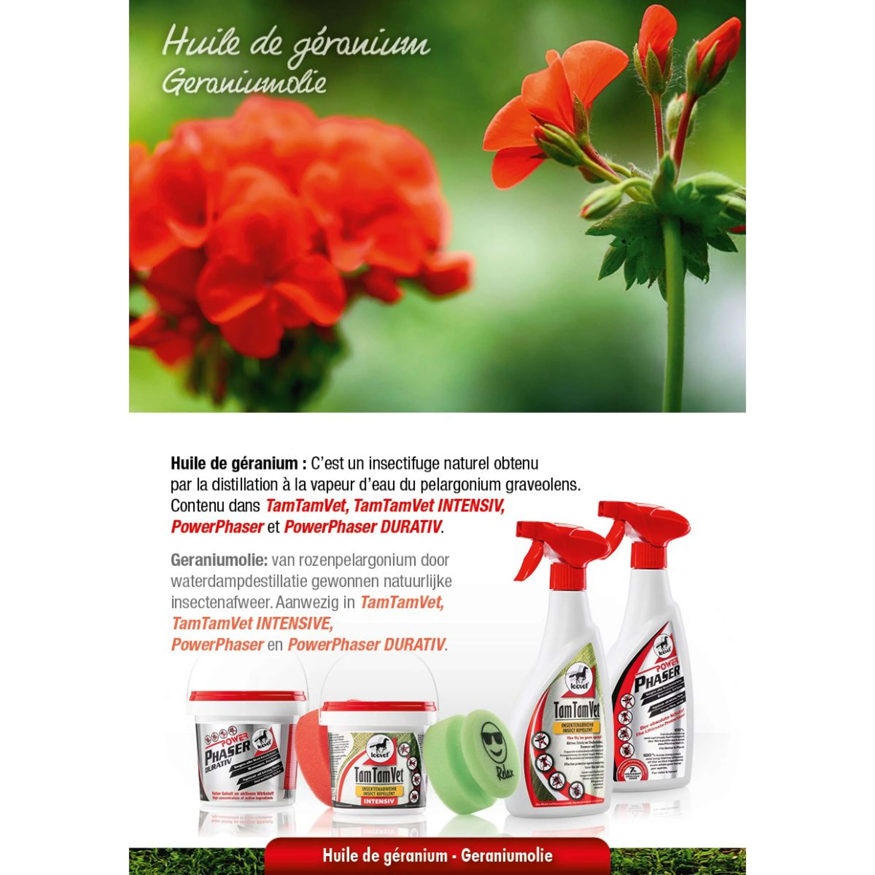Leovet Faser di potenza - Image 2