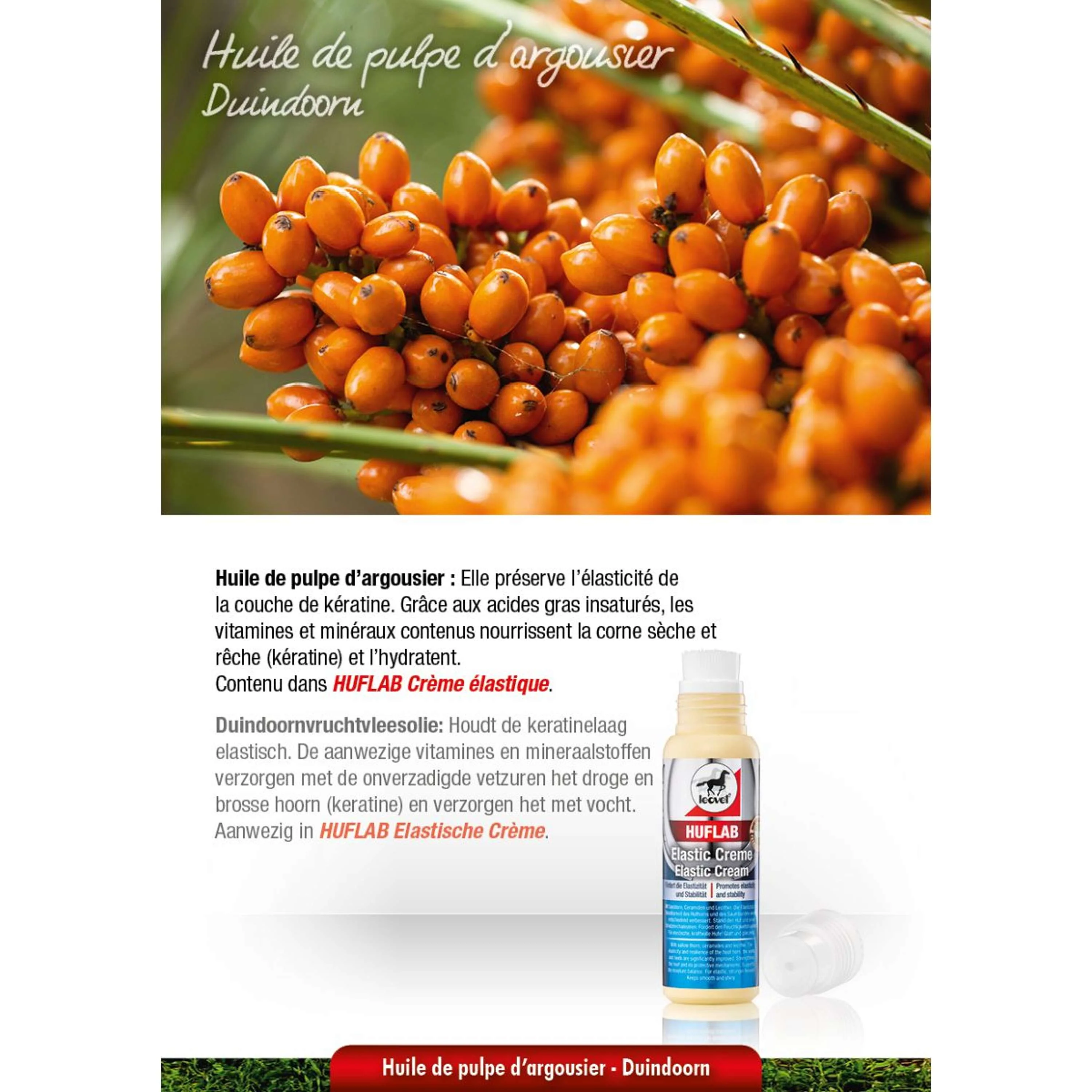 Leovet Hoofcare Indurente - Image 6