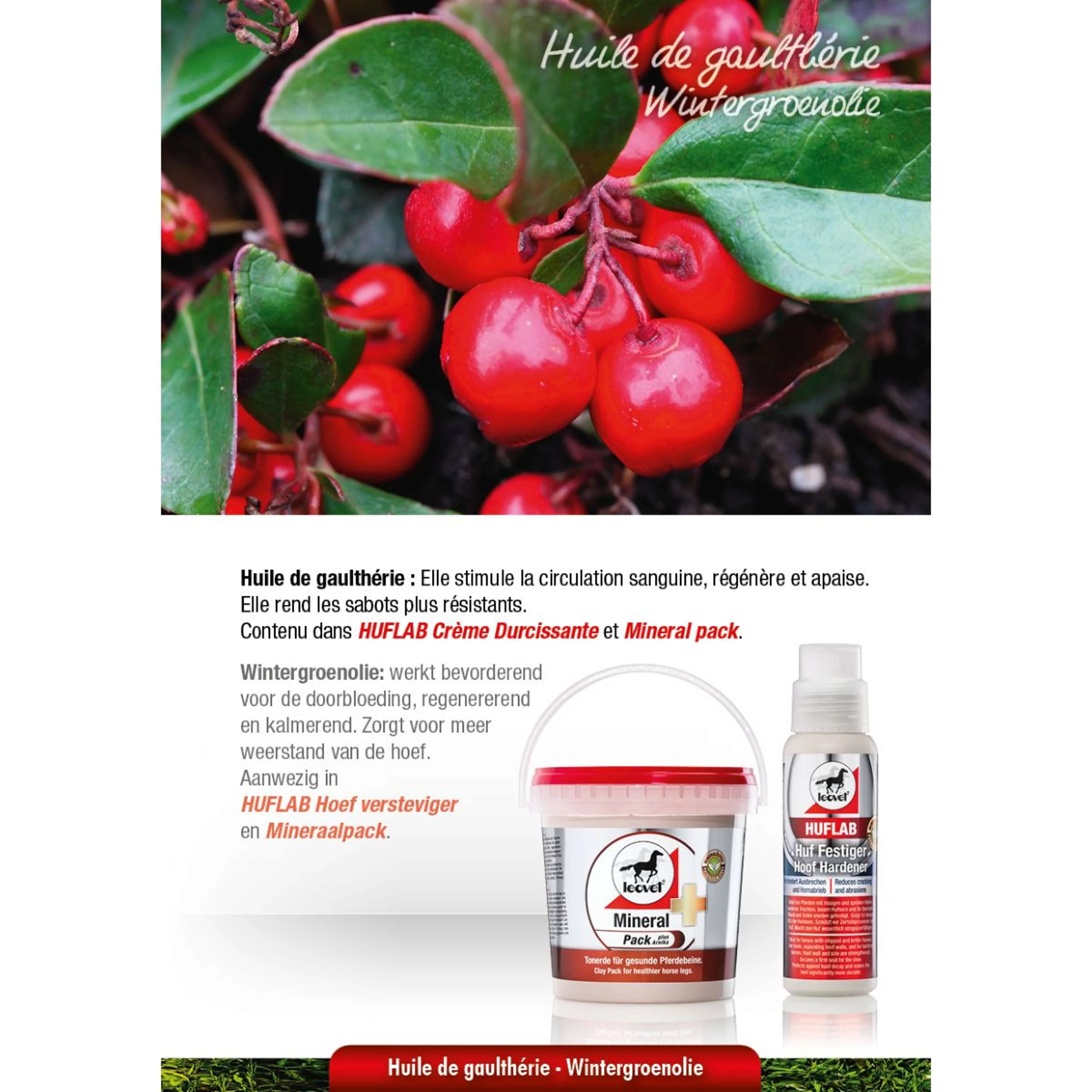 Leovet Hoofcare Indurente - Image 8