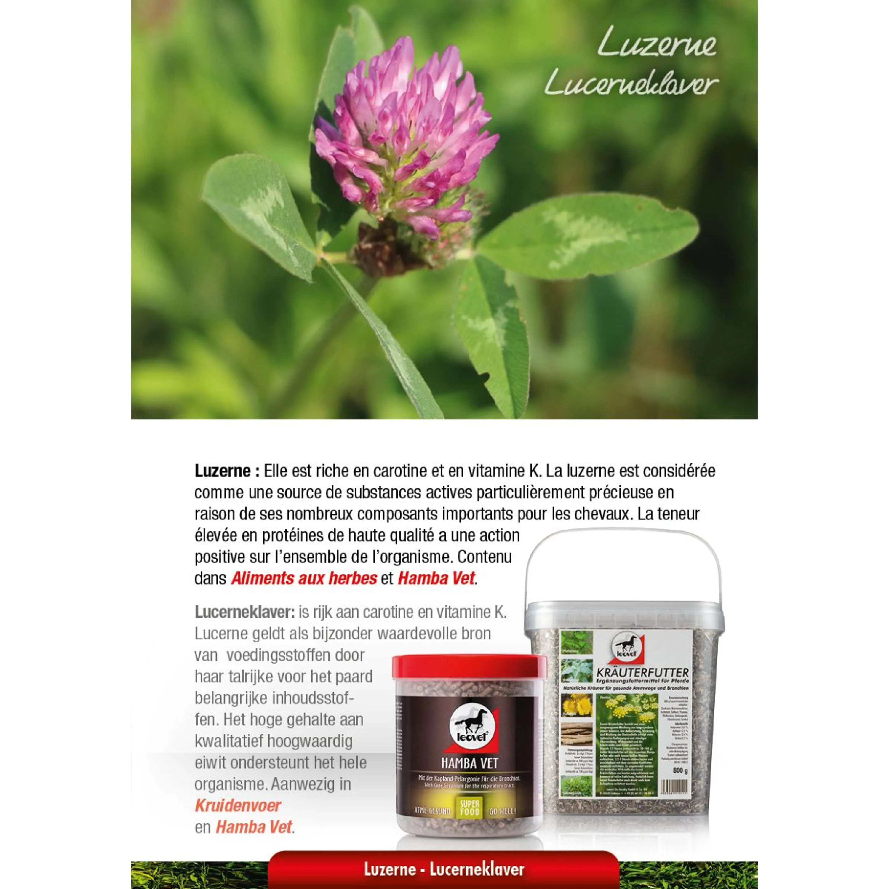Leovet Mangime Erboristico - Image 10