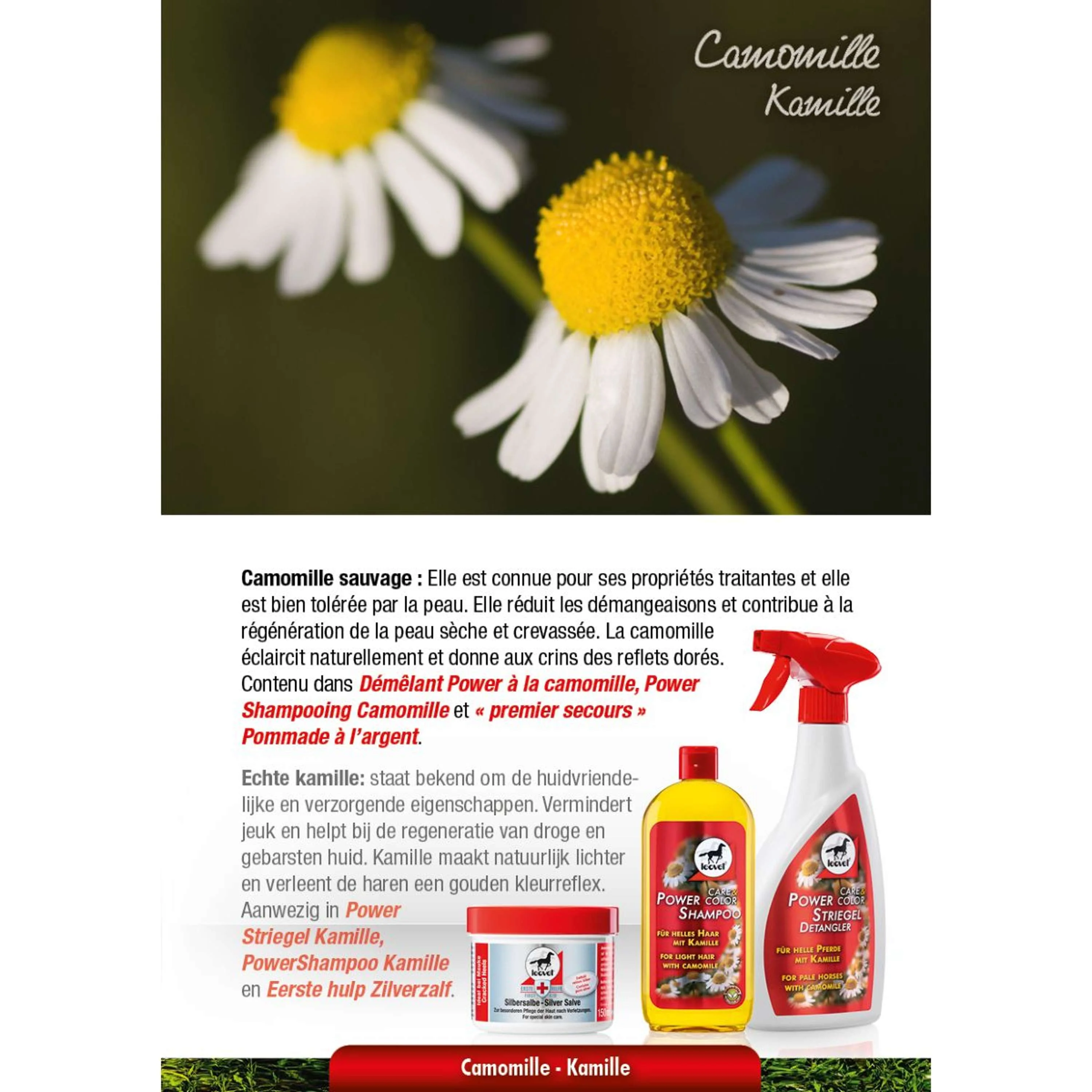 Leovet Power Shampoo Kamille - Image 4