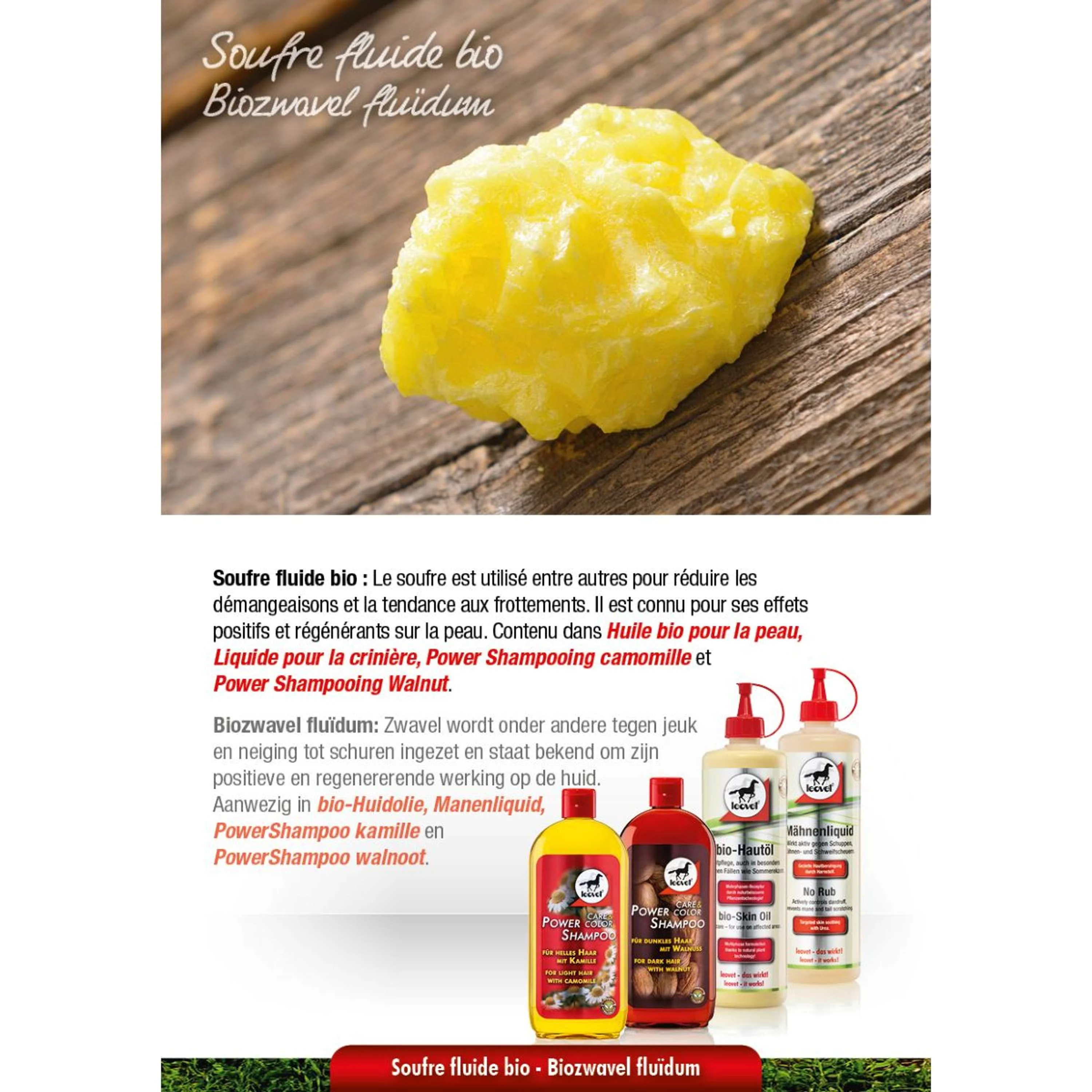 Leovet Power Shampoo Noce - Image 2