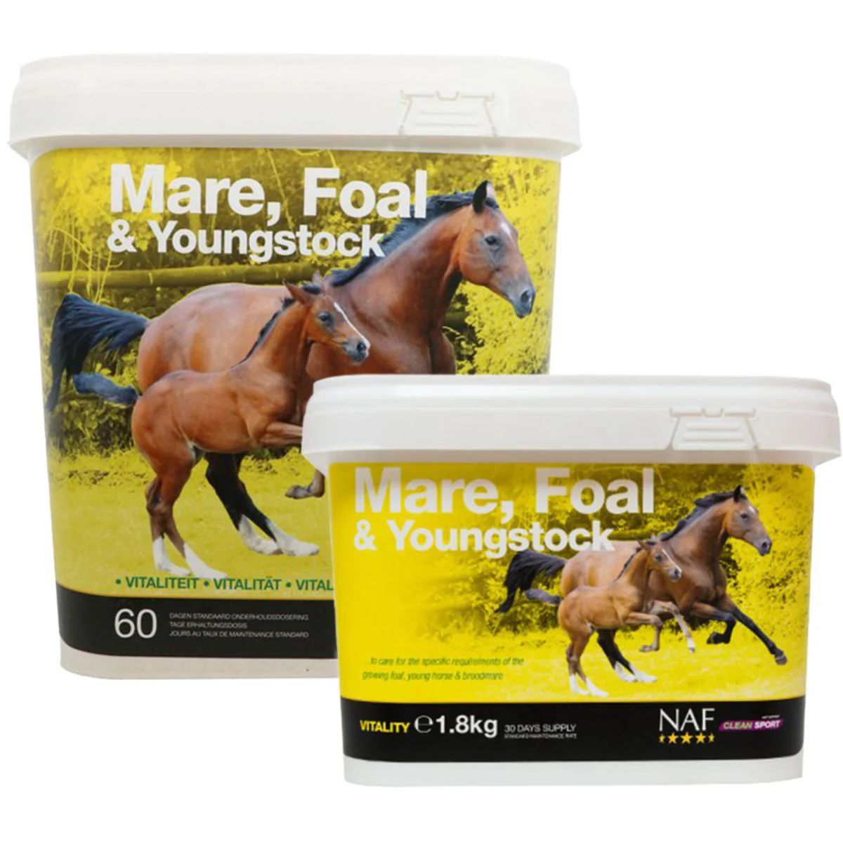 NAF Mare Foal & Youngstock - Image 2