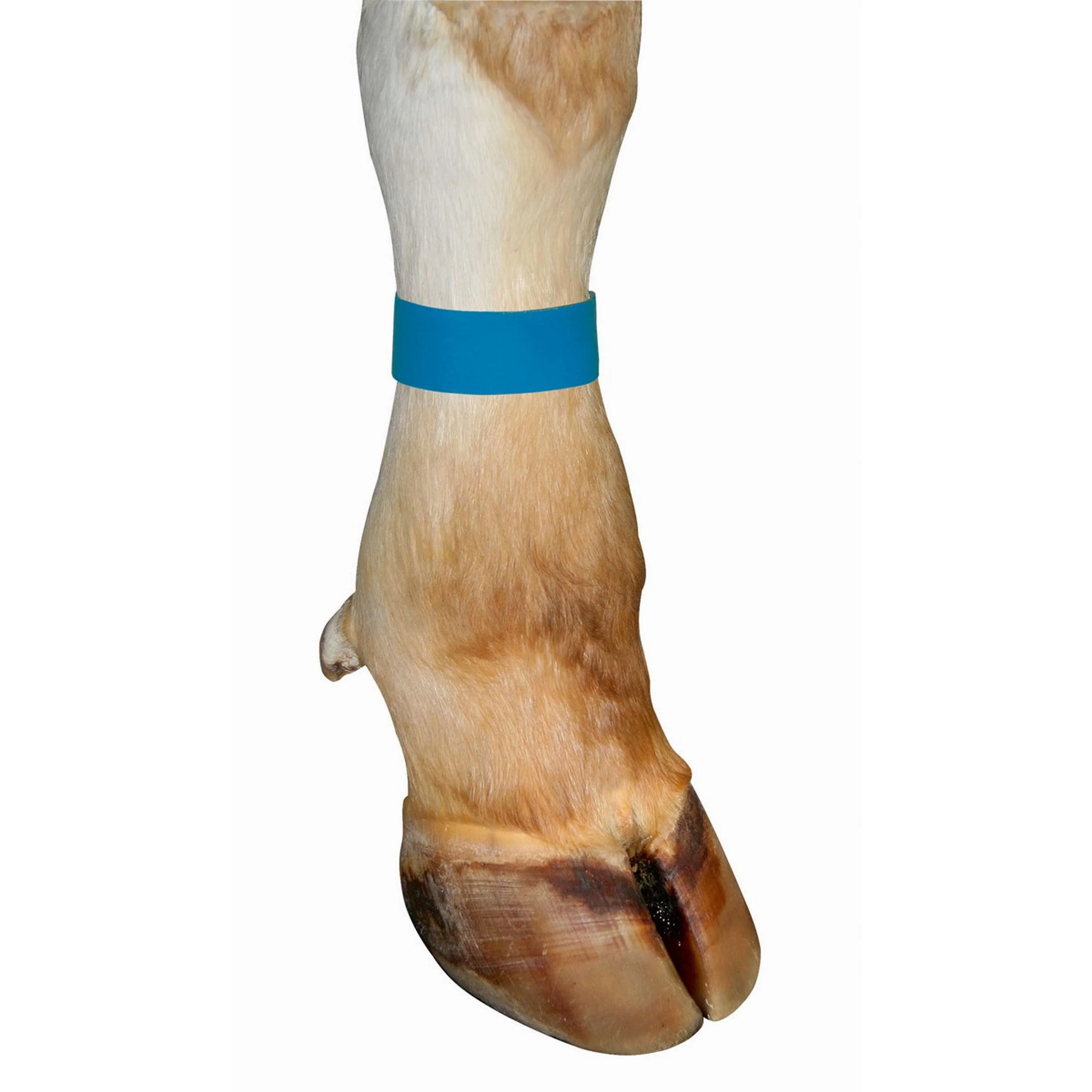 Nastro di marcatura Kerbl Blu