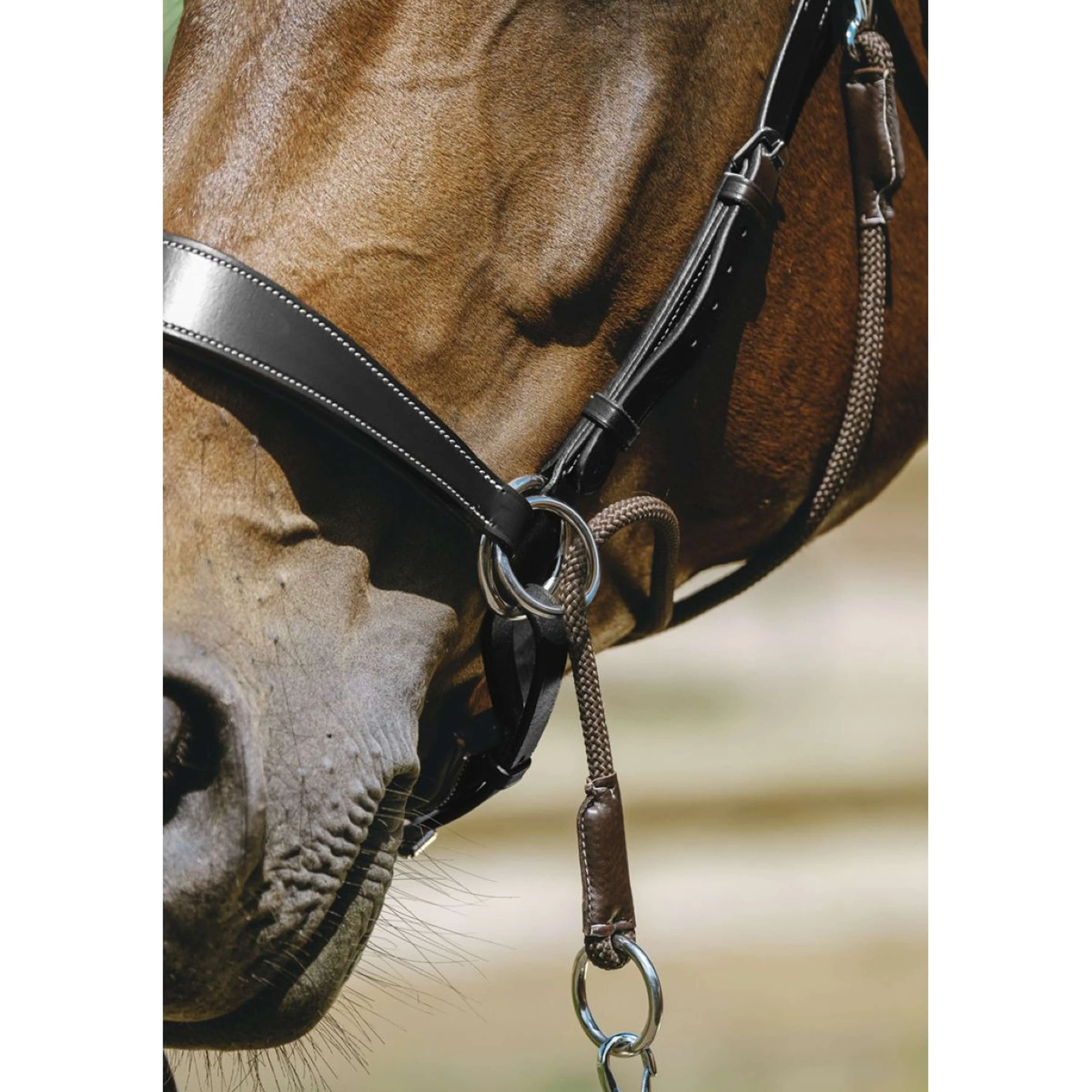 Norton Briglia senza Morso Nero - Image 2