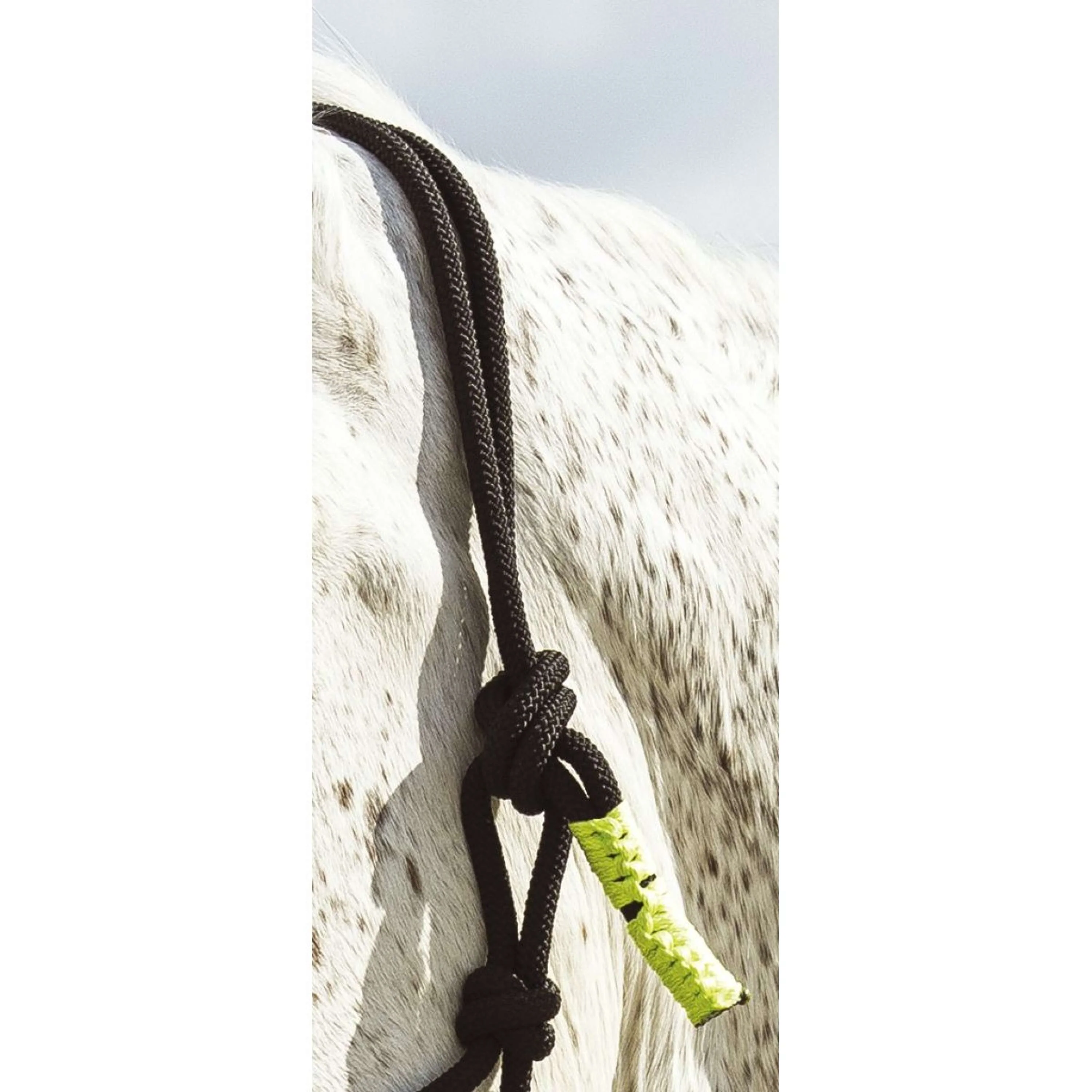 Norton Set Capezzina in Corda Fun Colour Ethologisch Nero/Verde Neon - Image 3
