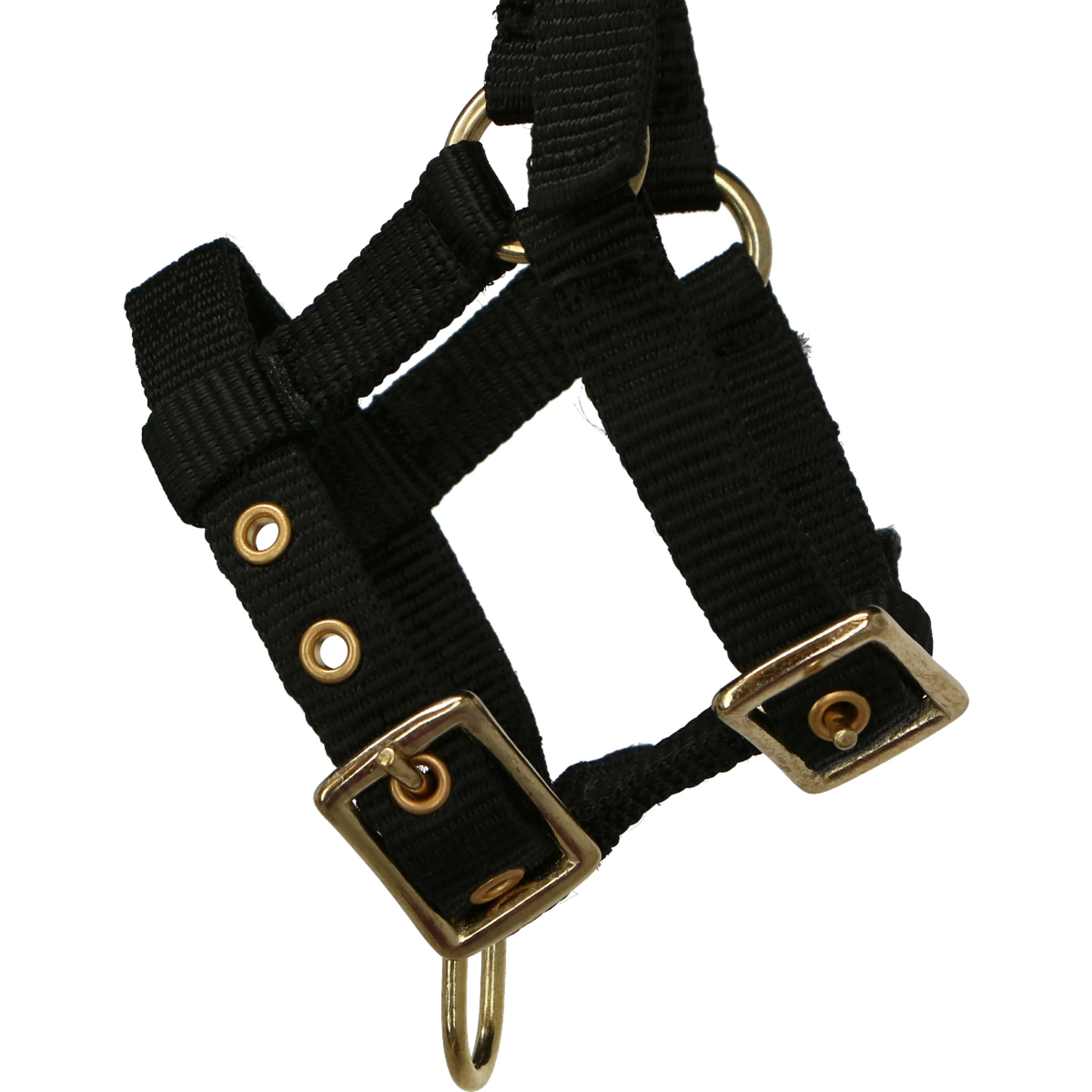 Norton Capezza Mini Regolabile Nero - Image 3