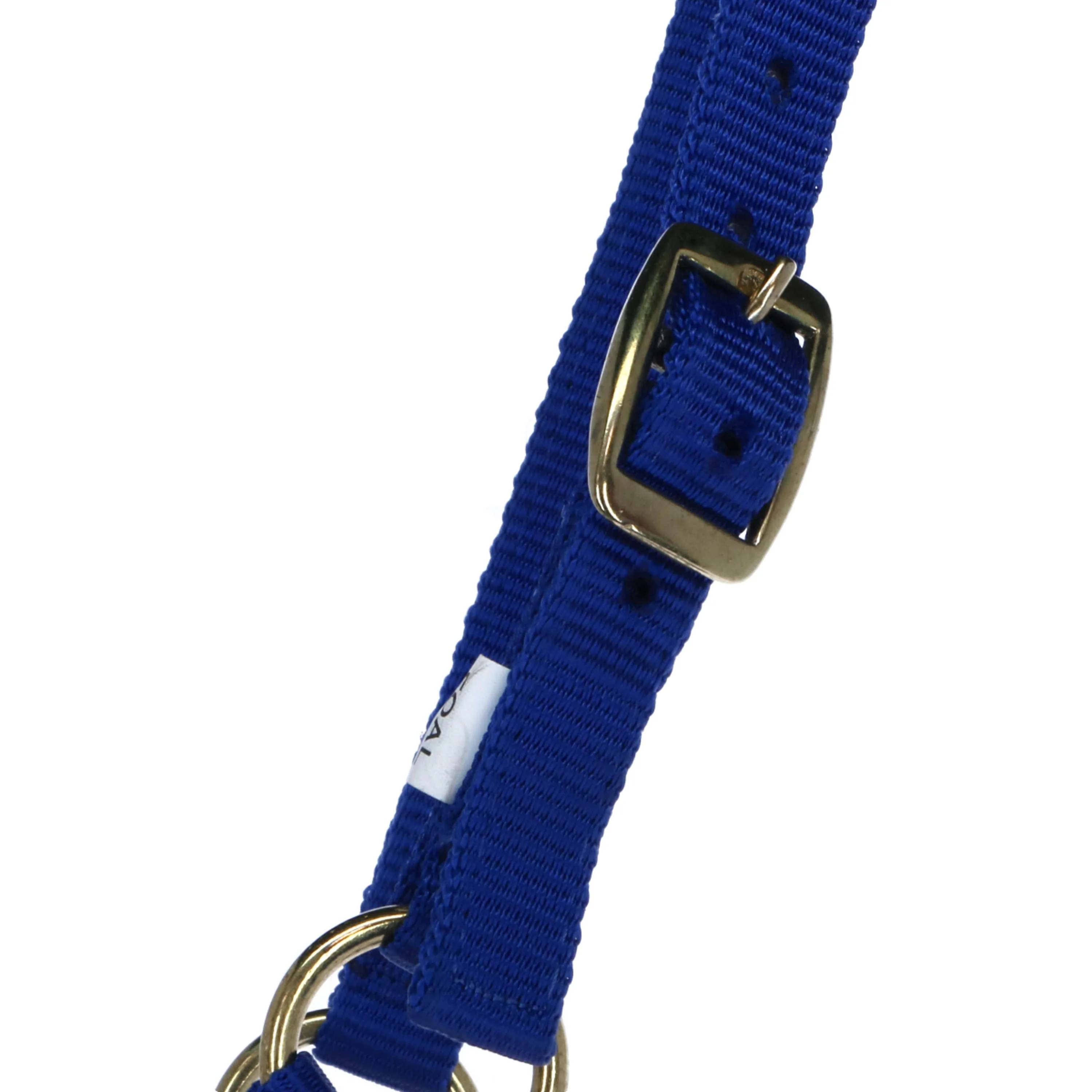 Norton Cavezza per puledro con Lunghina Blu reale - Image 2
