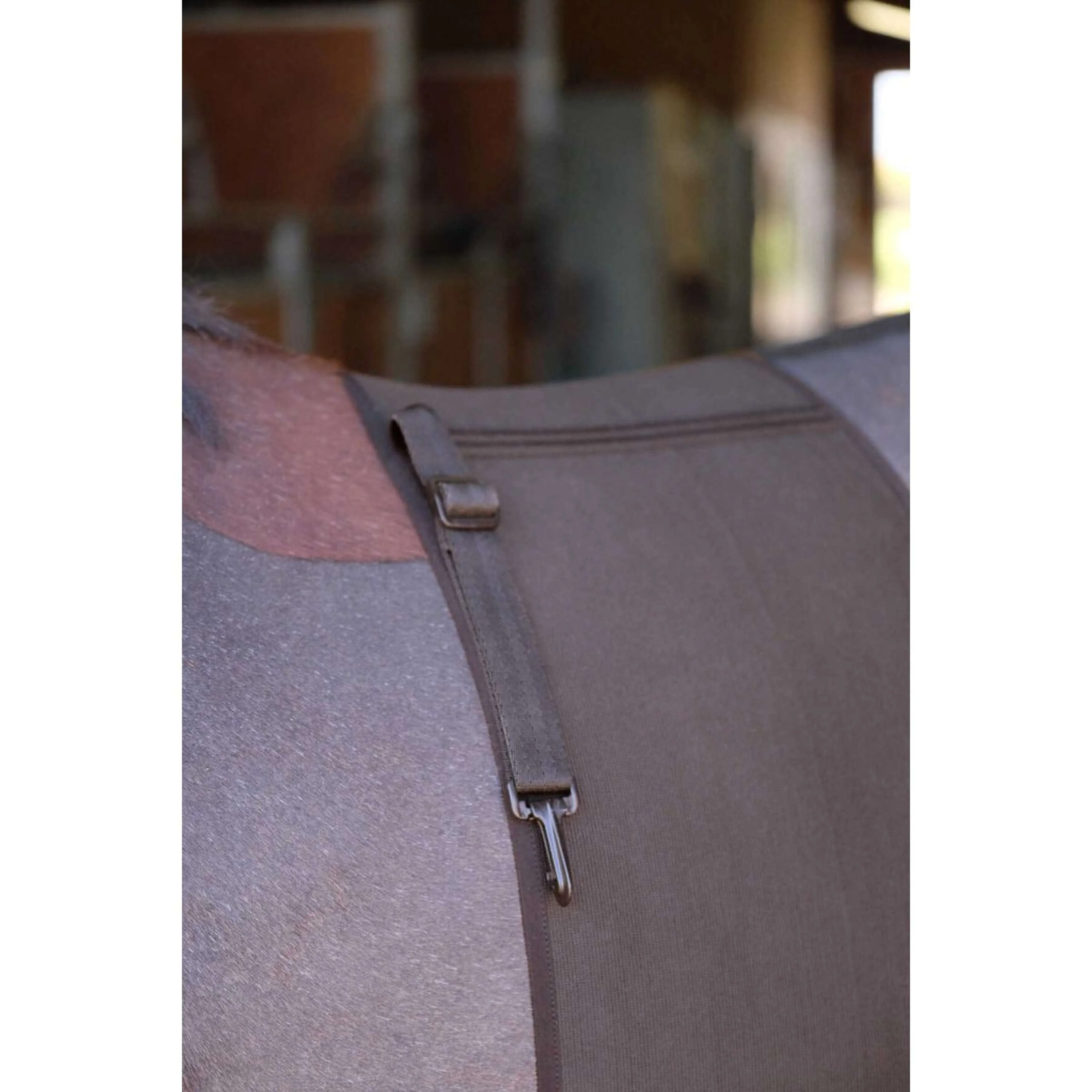 Norton Fascia Addominale Marrone - Image 6