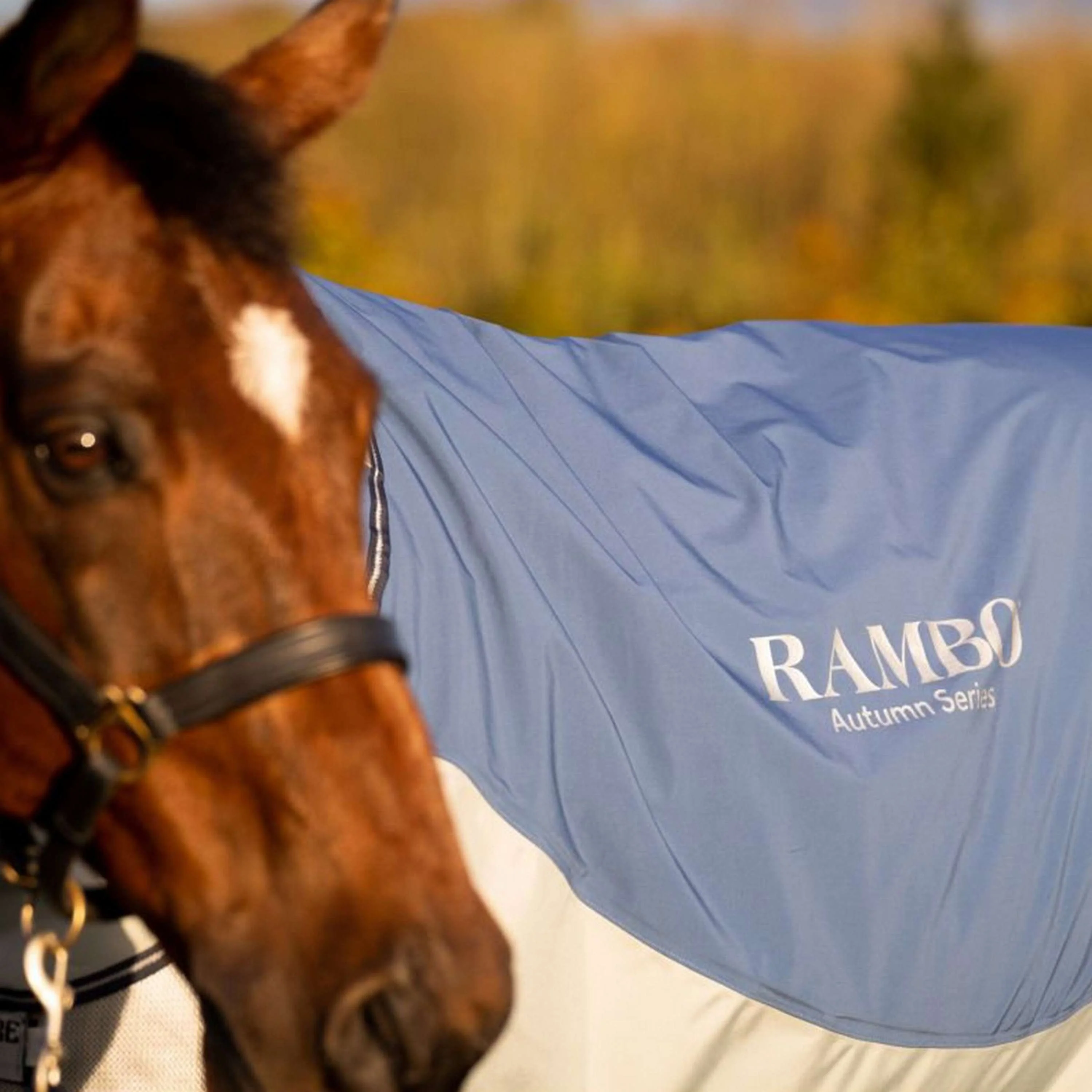 Rambo Autumn Series Turnout Punti blu scuro/grigi - Image 7
