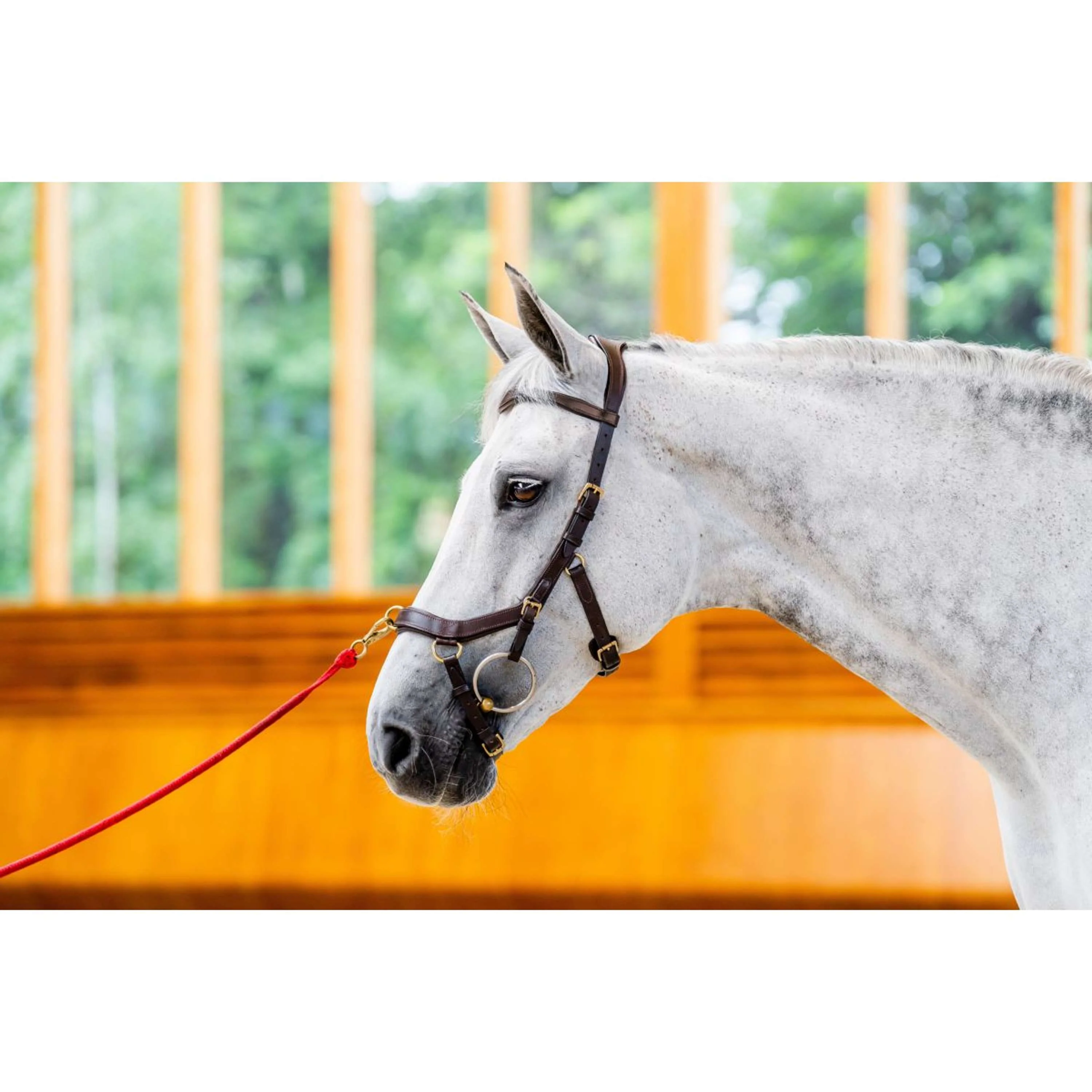 Horseware Briglia multipla Micklem New Dark Havana - Image 4
