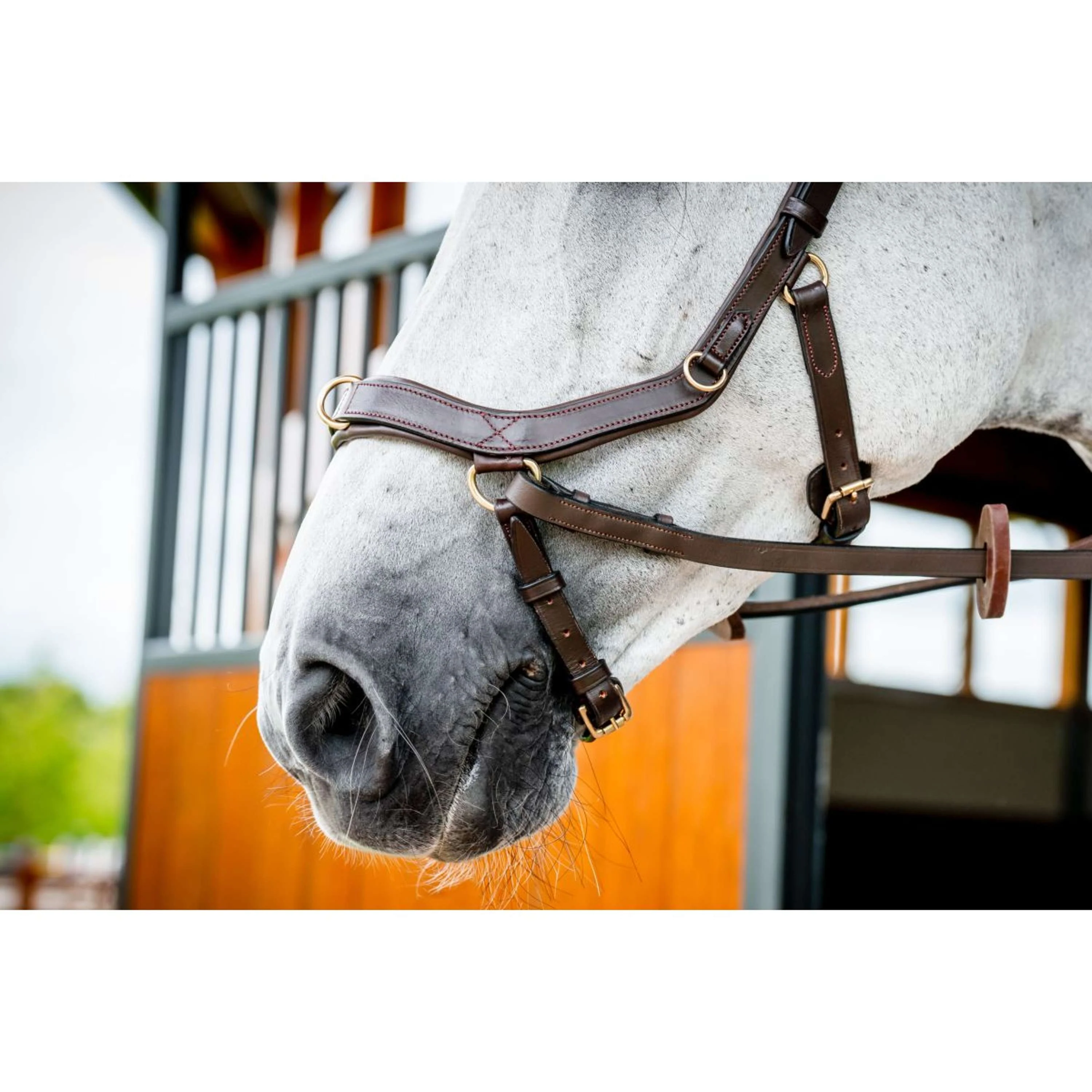 Horseware Briglia multipla Micklem New Dark Havana - Image 8