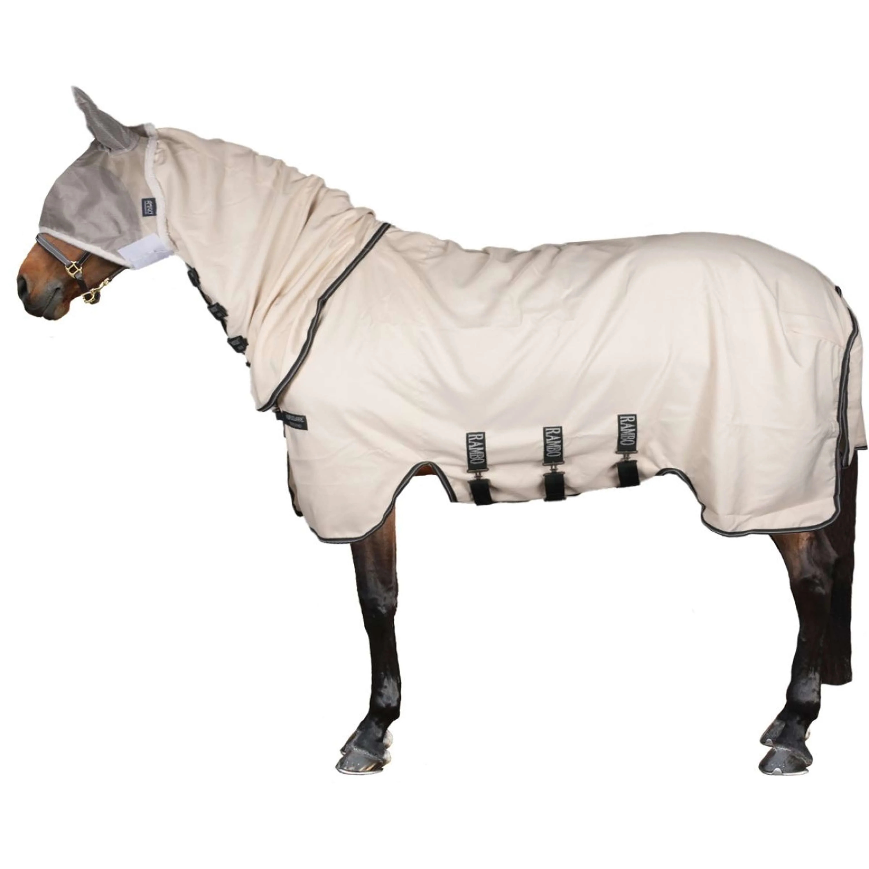 Rambo Hoody Pony Gesso/verde cacciatore/argento - Image 3