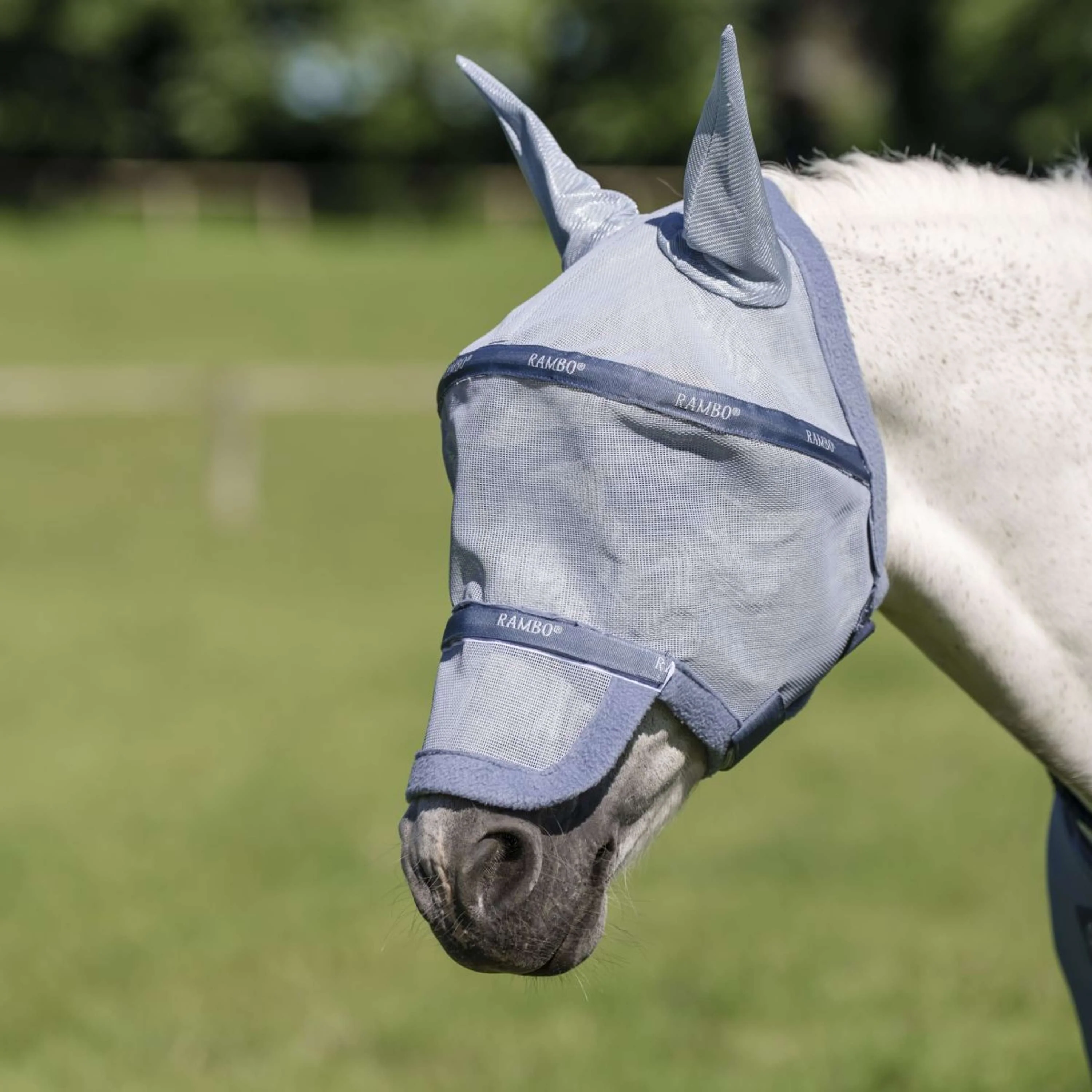 Rambo Fly Mask Heather Blue/Blue/Silver - Image 3
