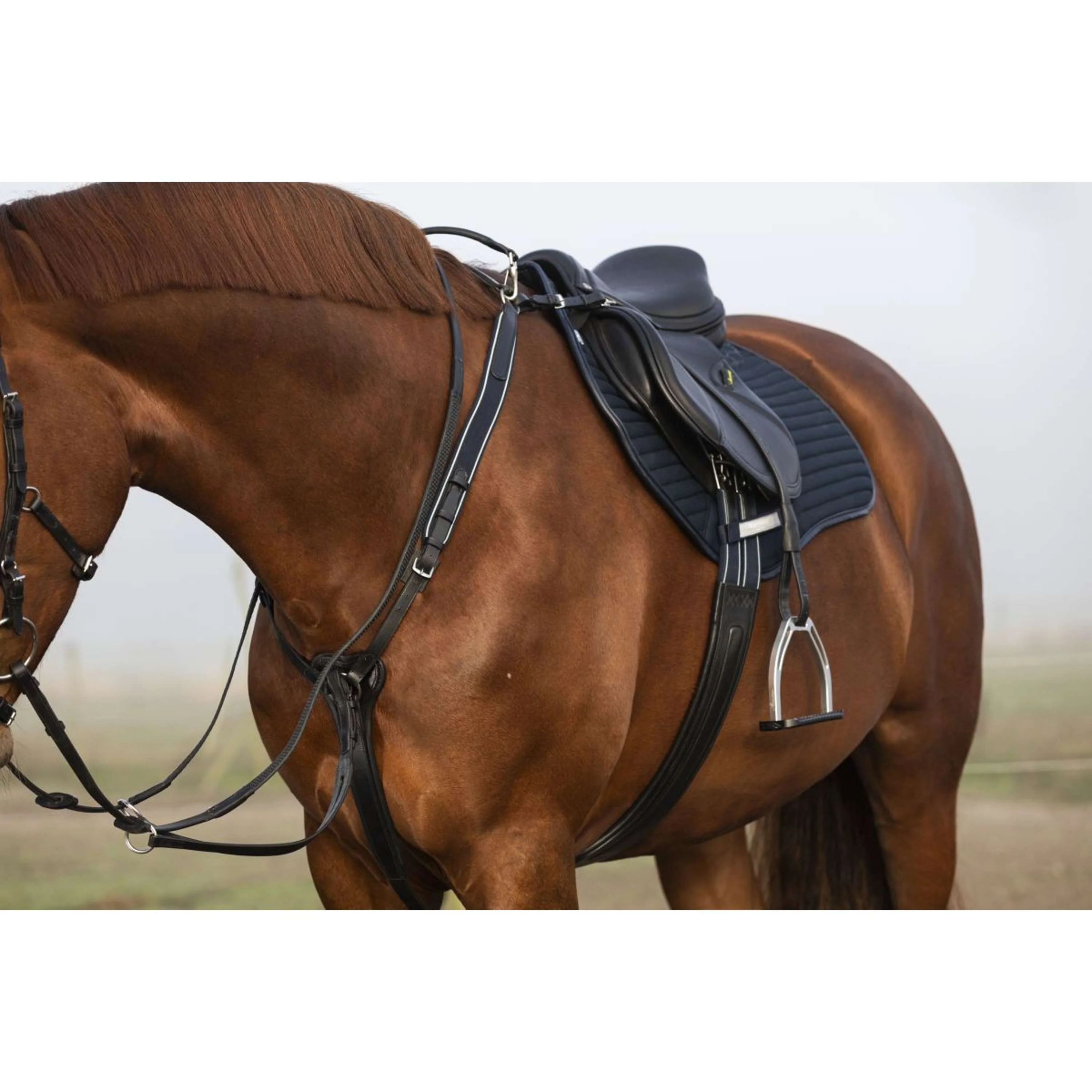 Horseware Micklem Pettorina con martingala Nero - Image 5