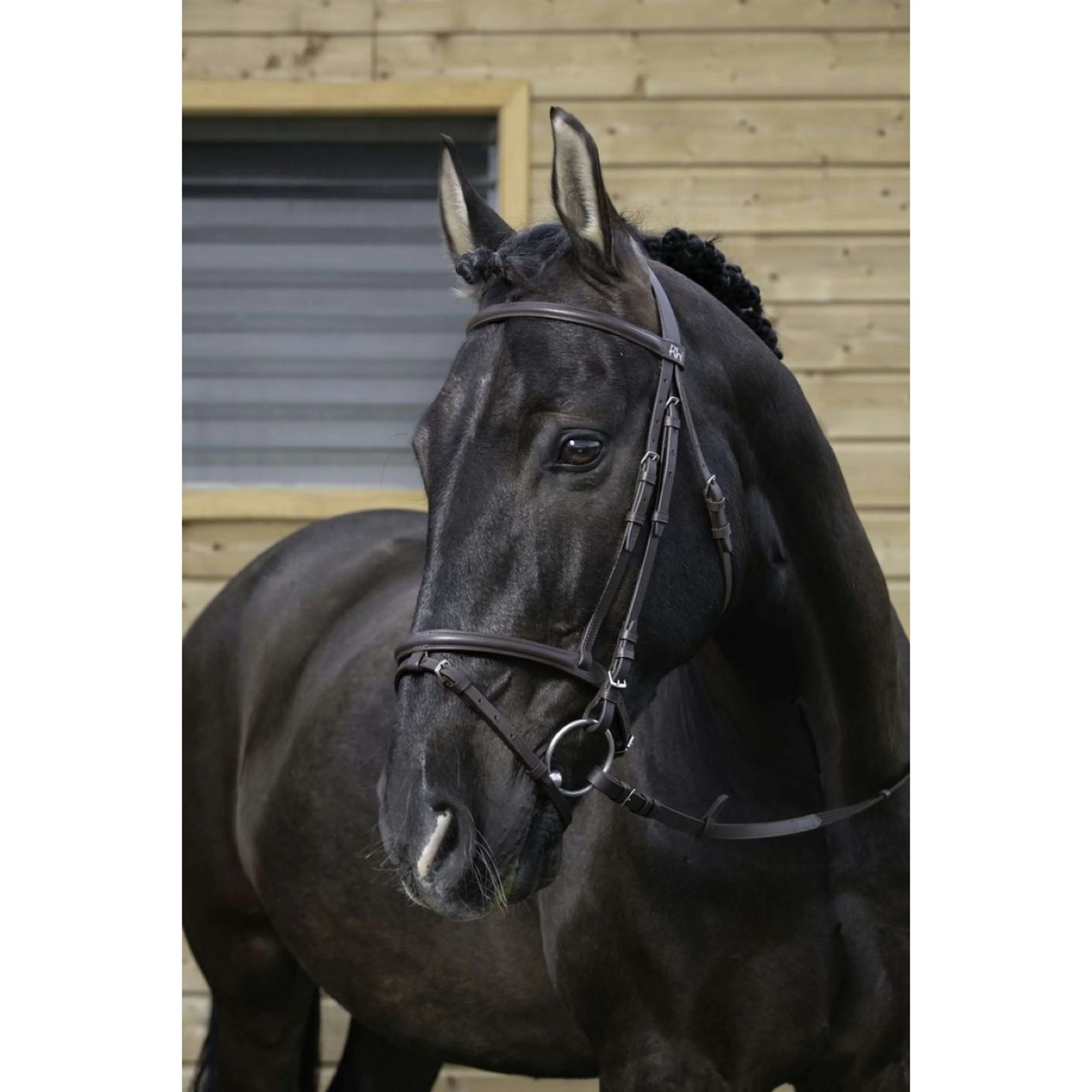 Riding World Briglia