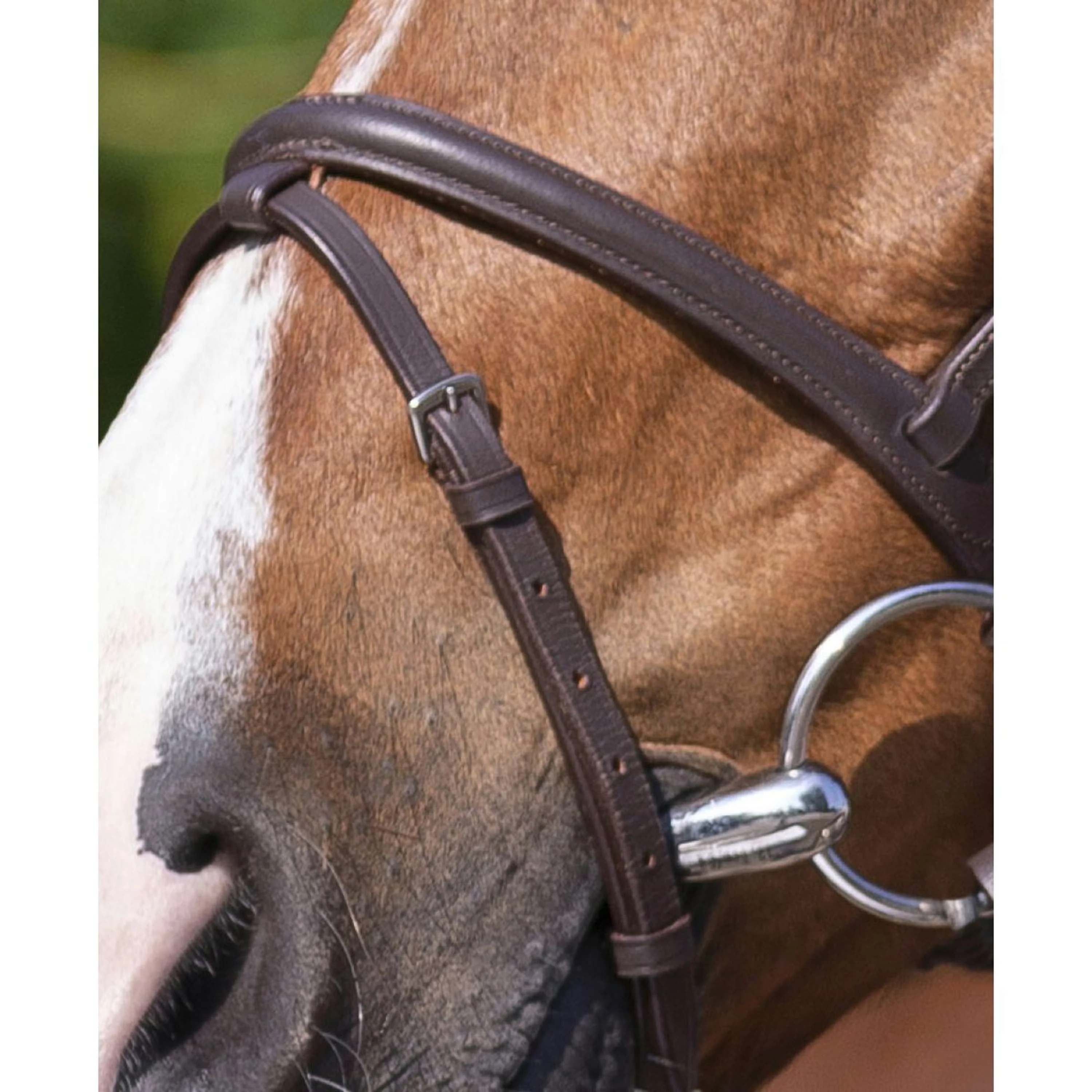 Riding World Briglia - Image 3