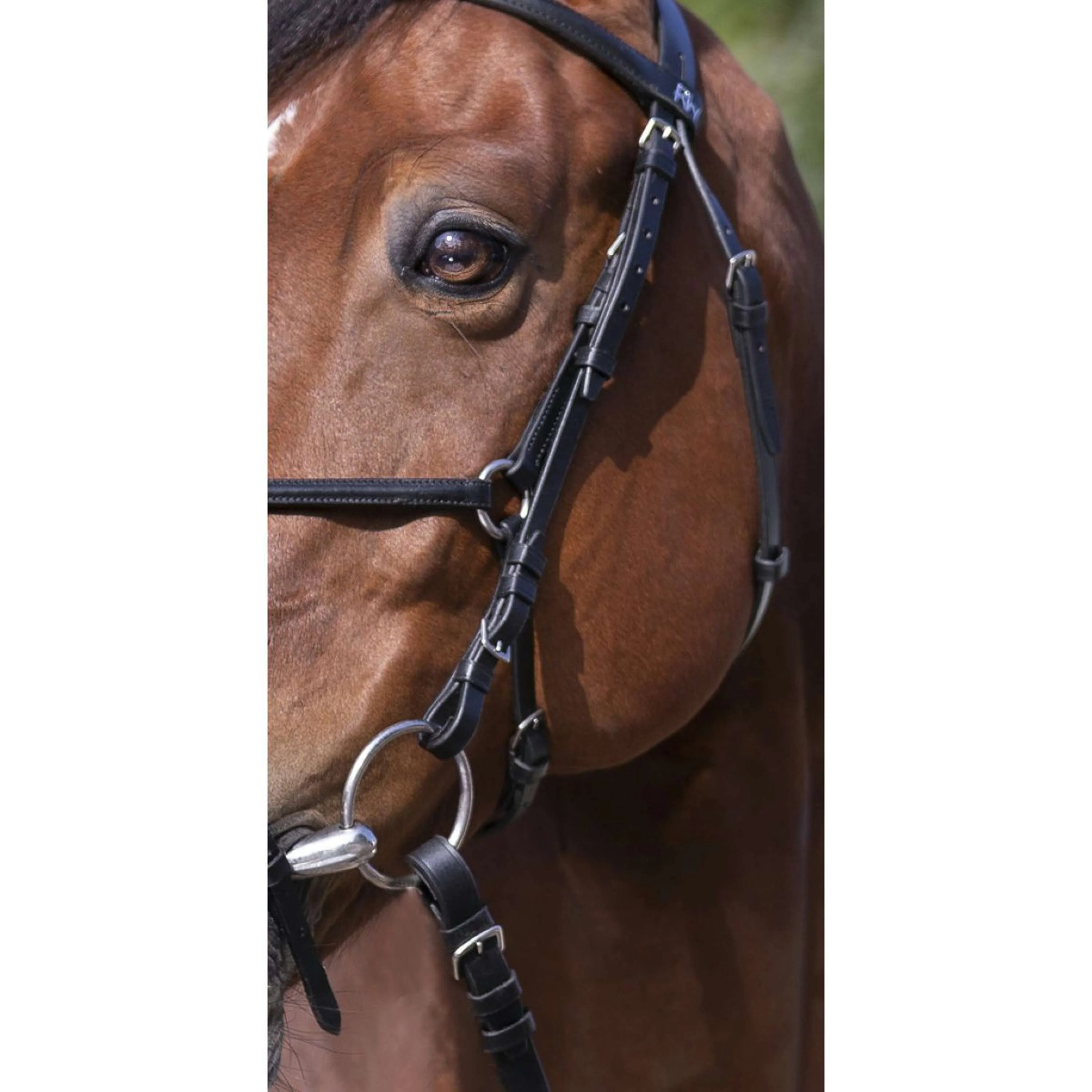 Riding World Briglia - Image 5
