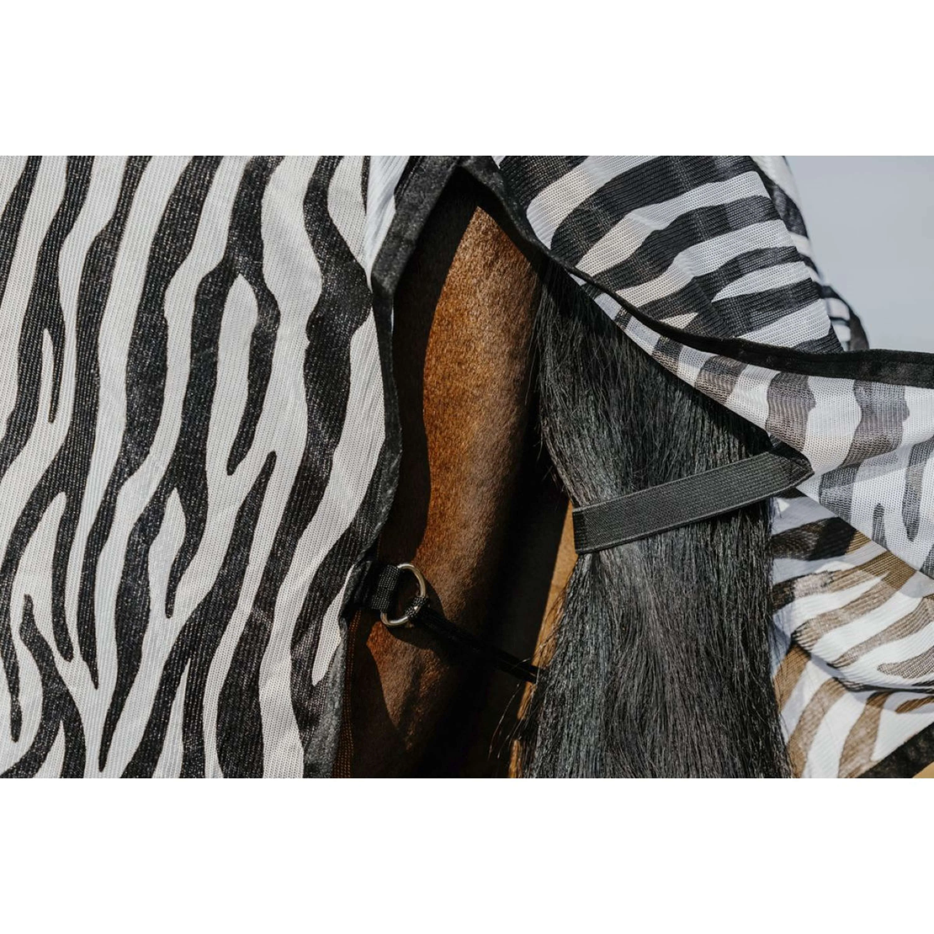Riding World Coperta Antimosche Belly Mesh Zebra - Image 4