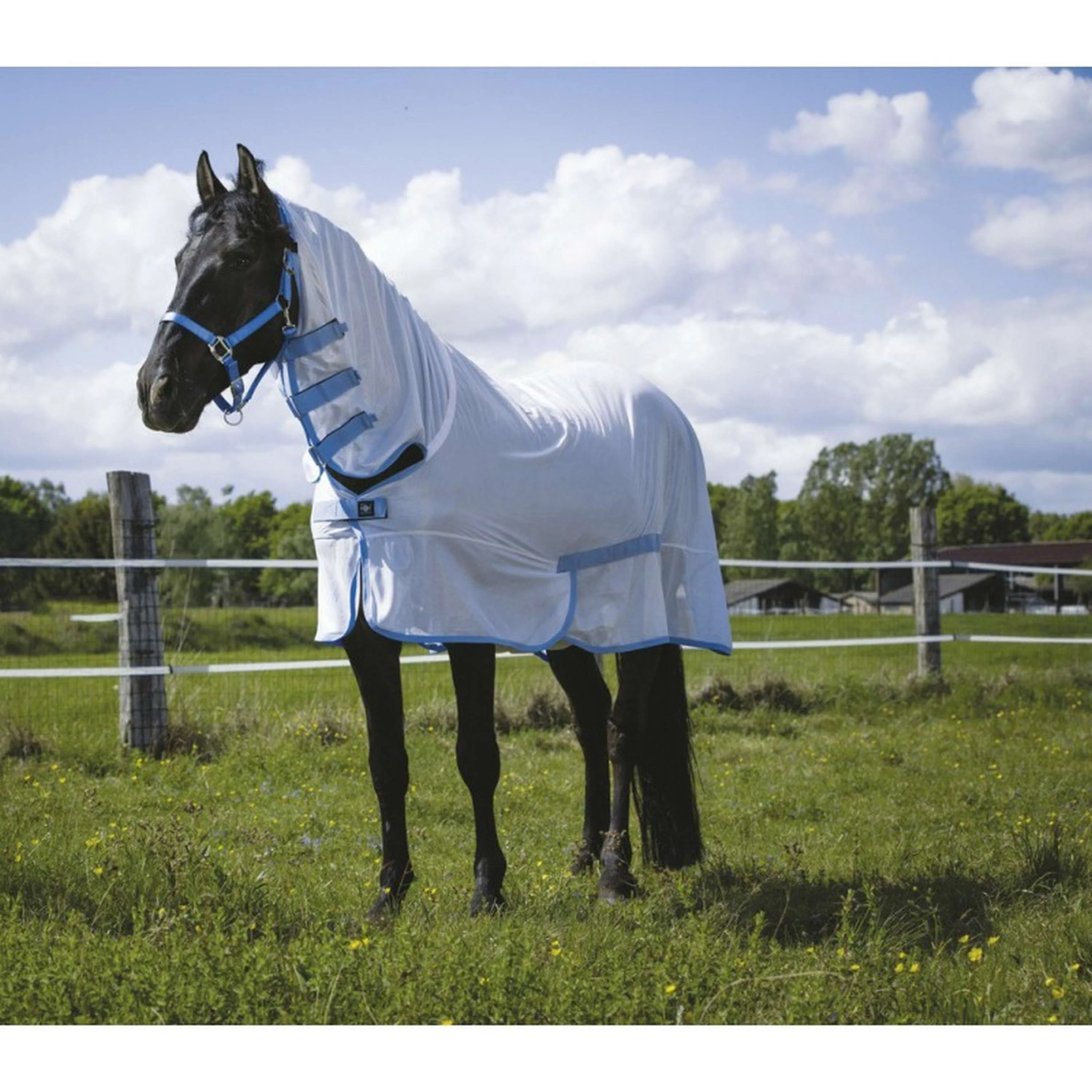 Riding World Coperta Antimosche Combo Bianco/Blu - Image 9
